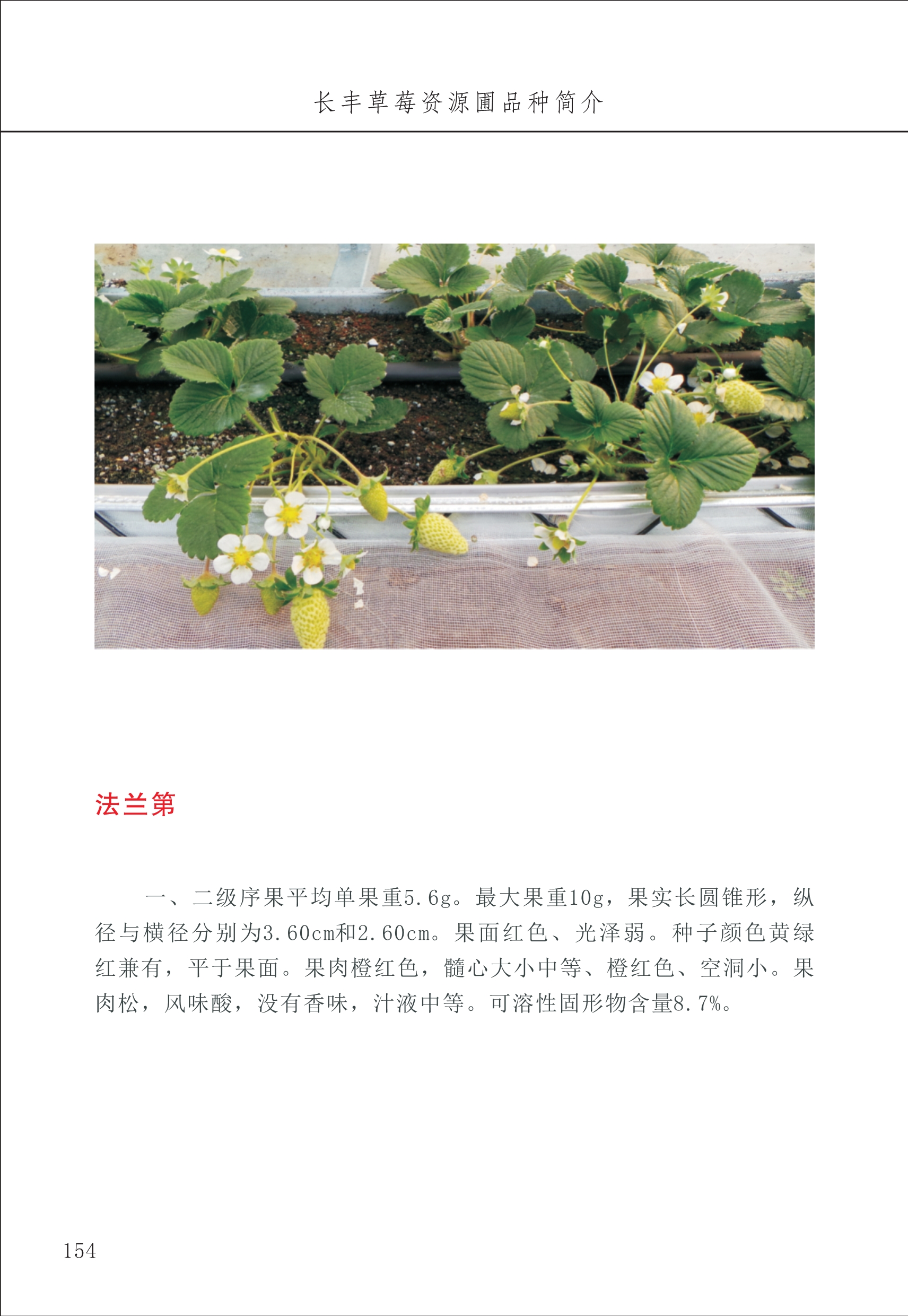 長(cháng)丰农技中心2_54.jpg