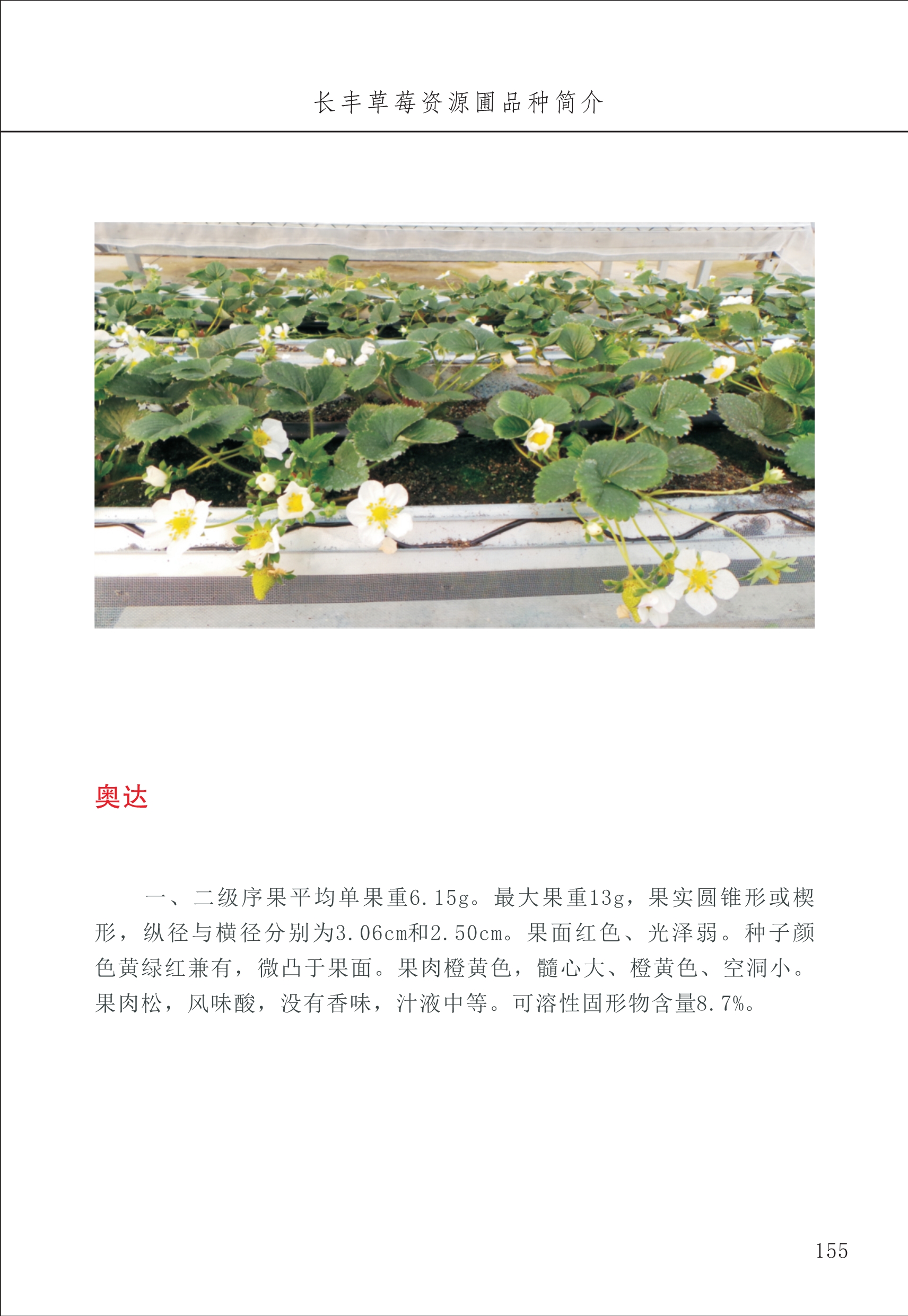 長(cháng)丰农技中心2_55.jpg