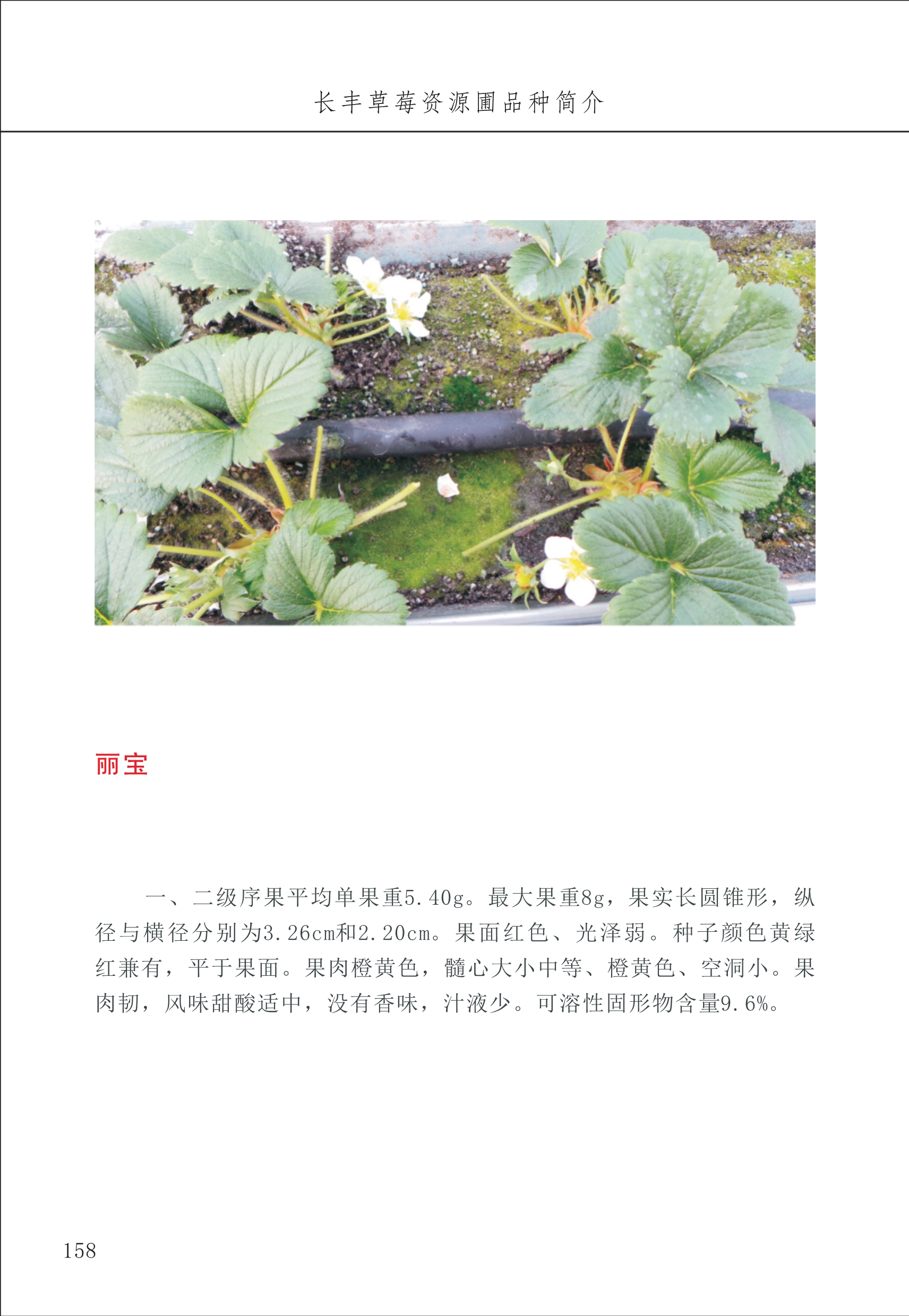 長(cháng)丰农技中心2_58.jpg