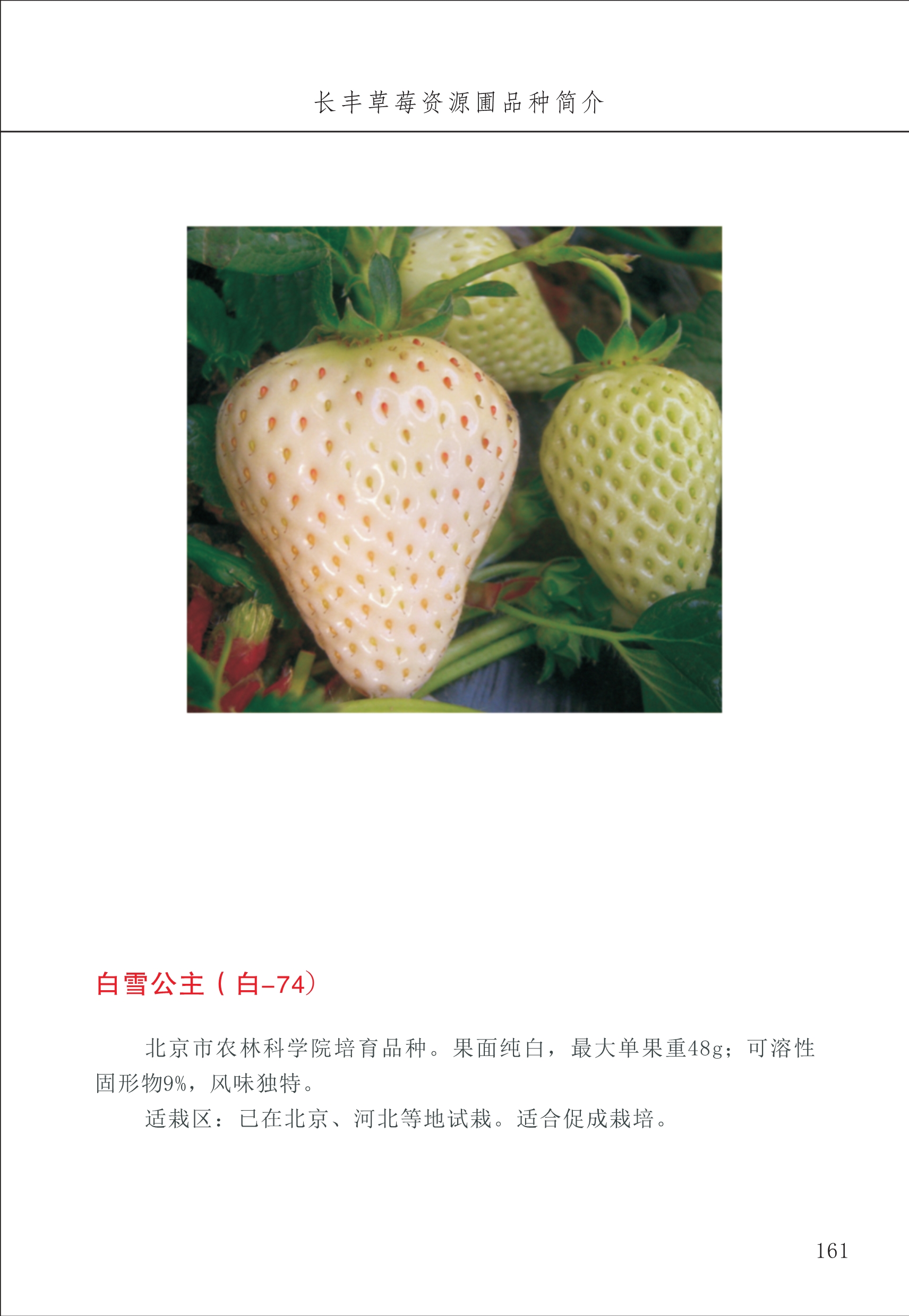 長(cháng)丰农技中心2_61.jpg