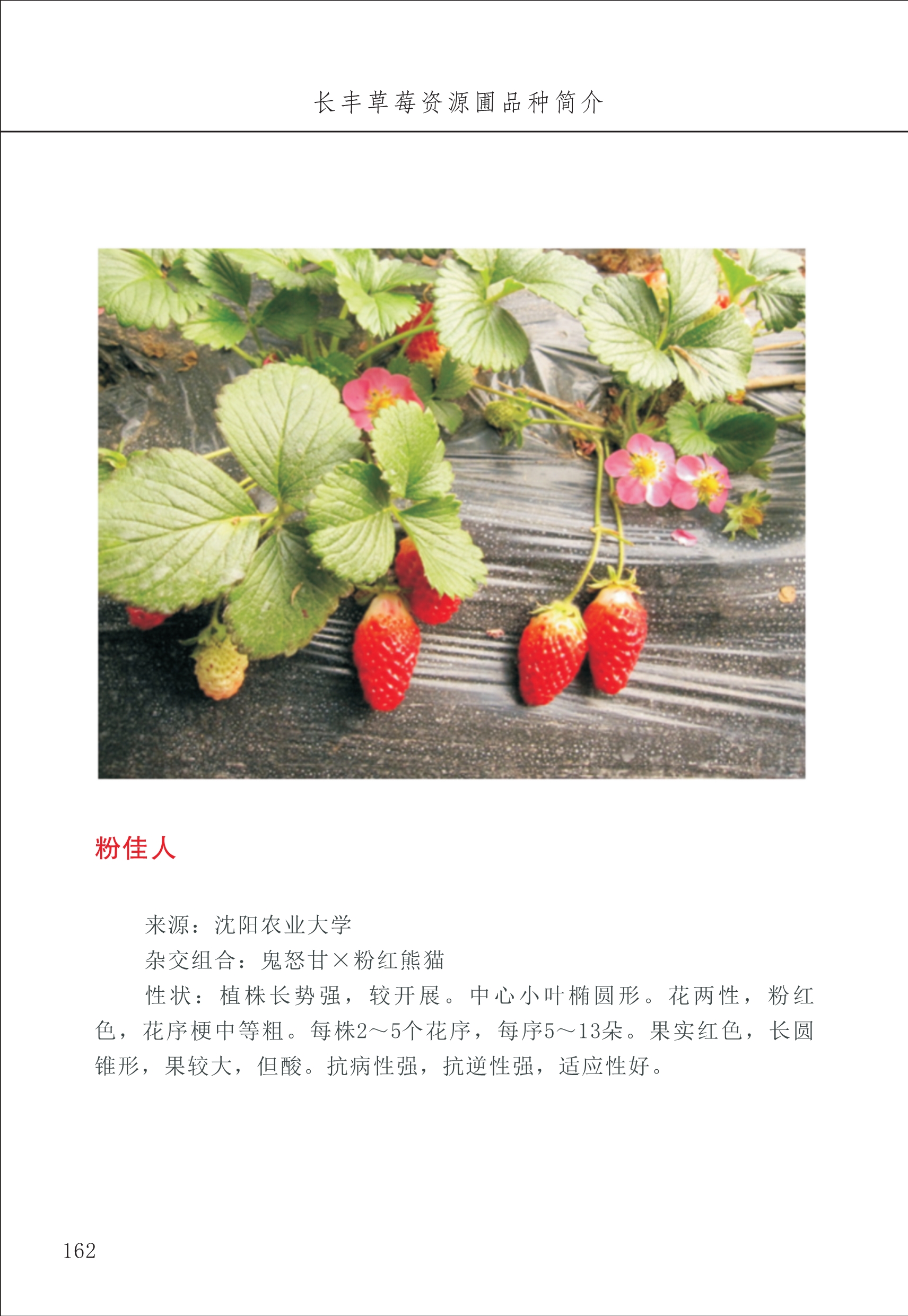 長(cháng)丰农技中心2_62.jpg