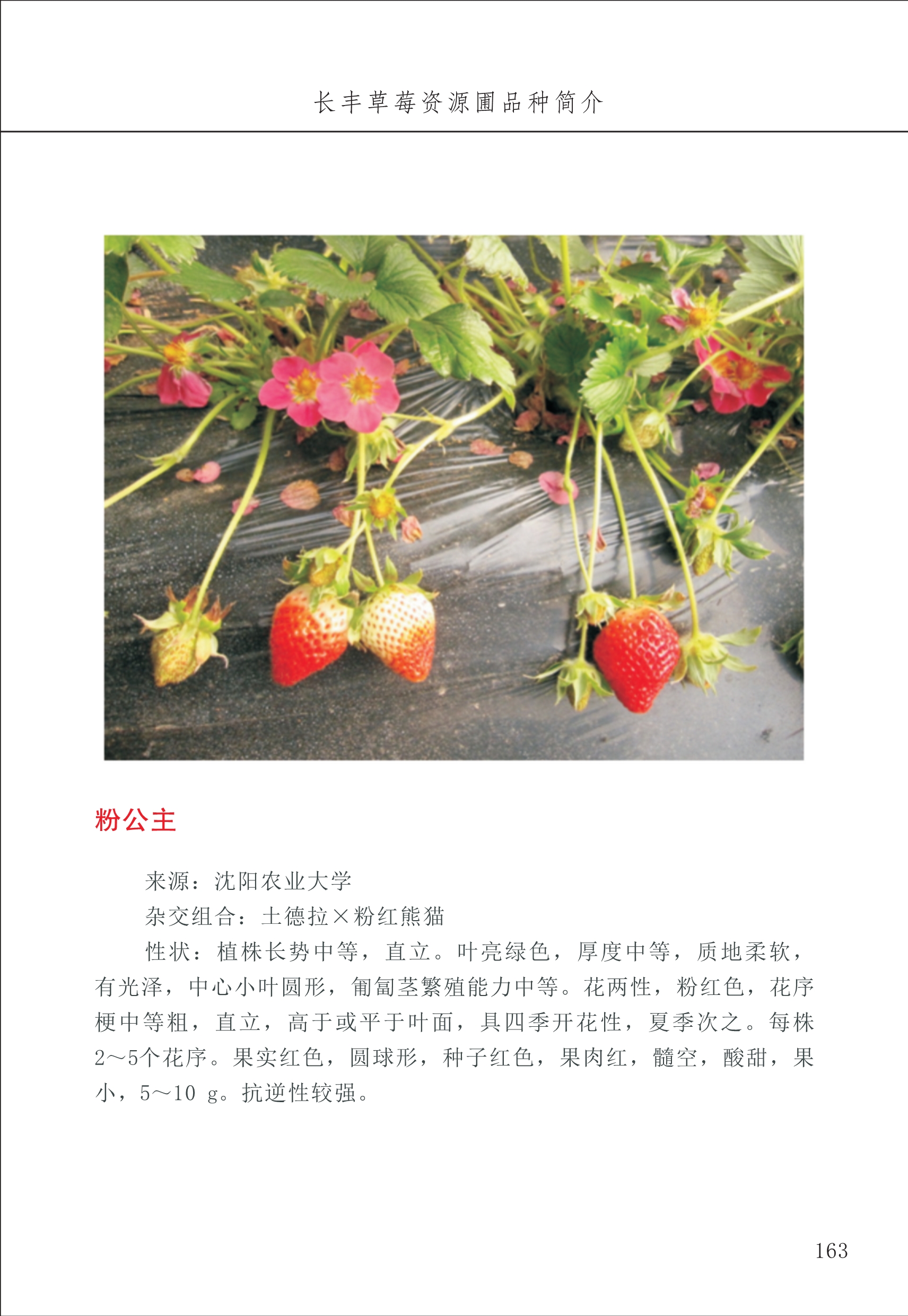 長(cháng)丰农技中心2_63.jpg