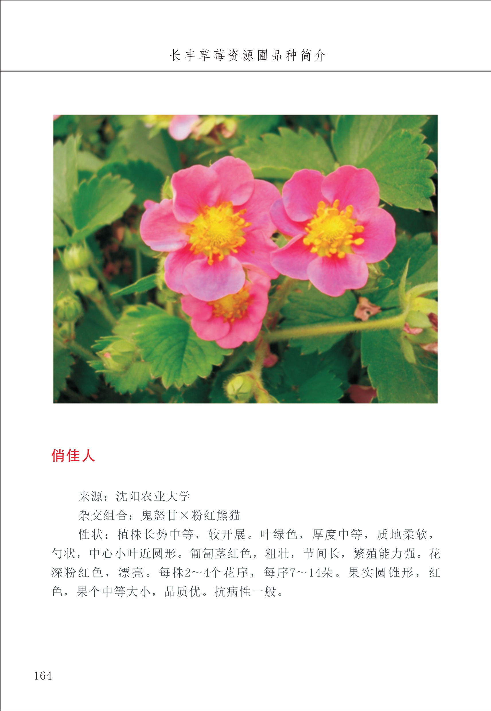 長(cháng)丰农技中心2_64.jpg