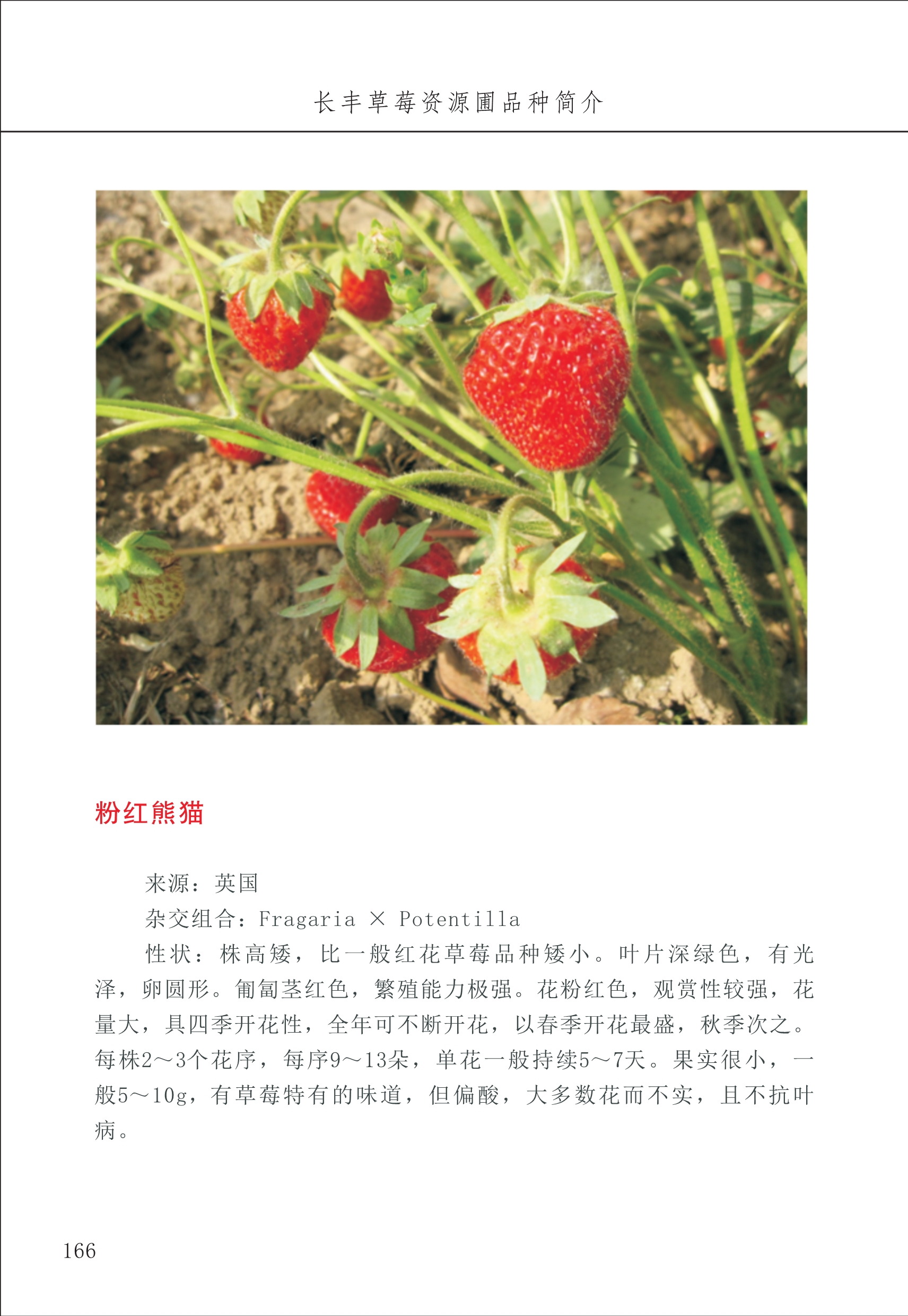 長(cháng)丰农技中心2_66.jpg