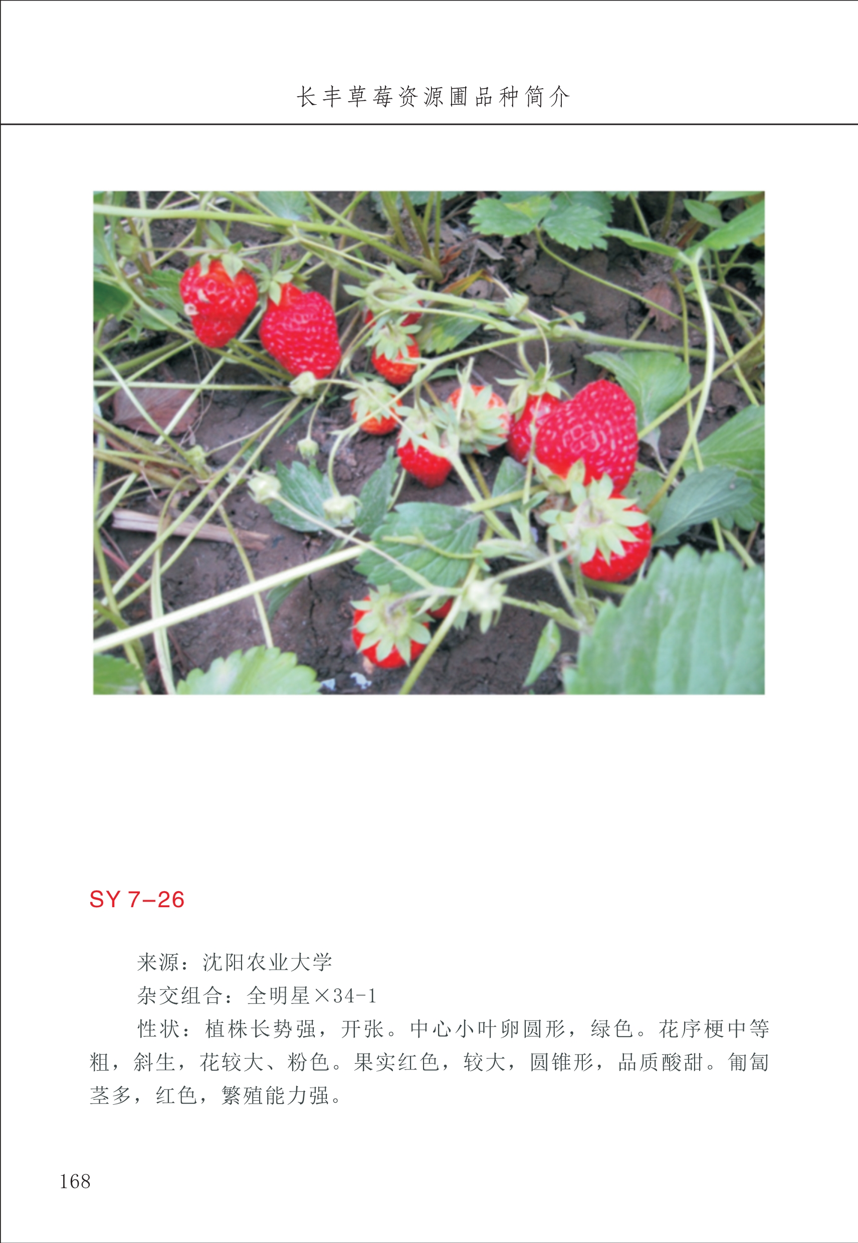 長(cháng)丰农技中心2_68.jpg