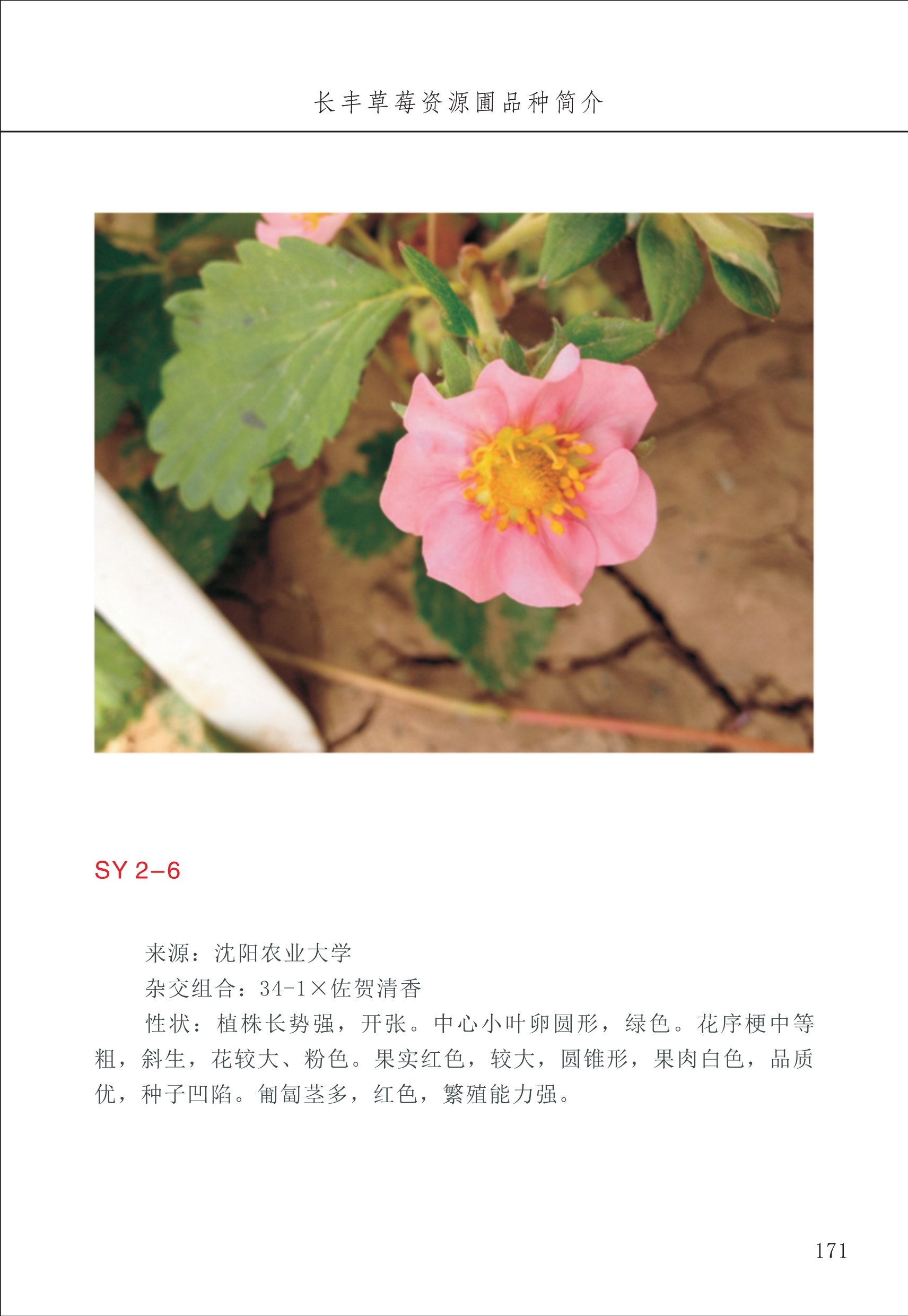 長(cháng)丰农技中心2_71.jpg