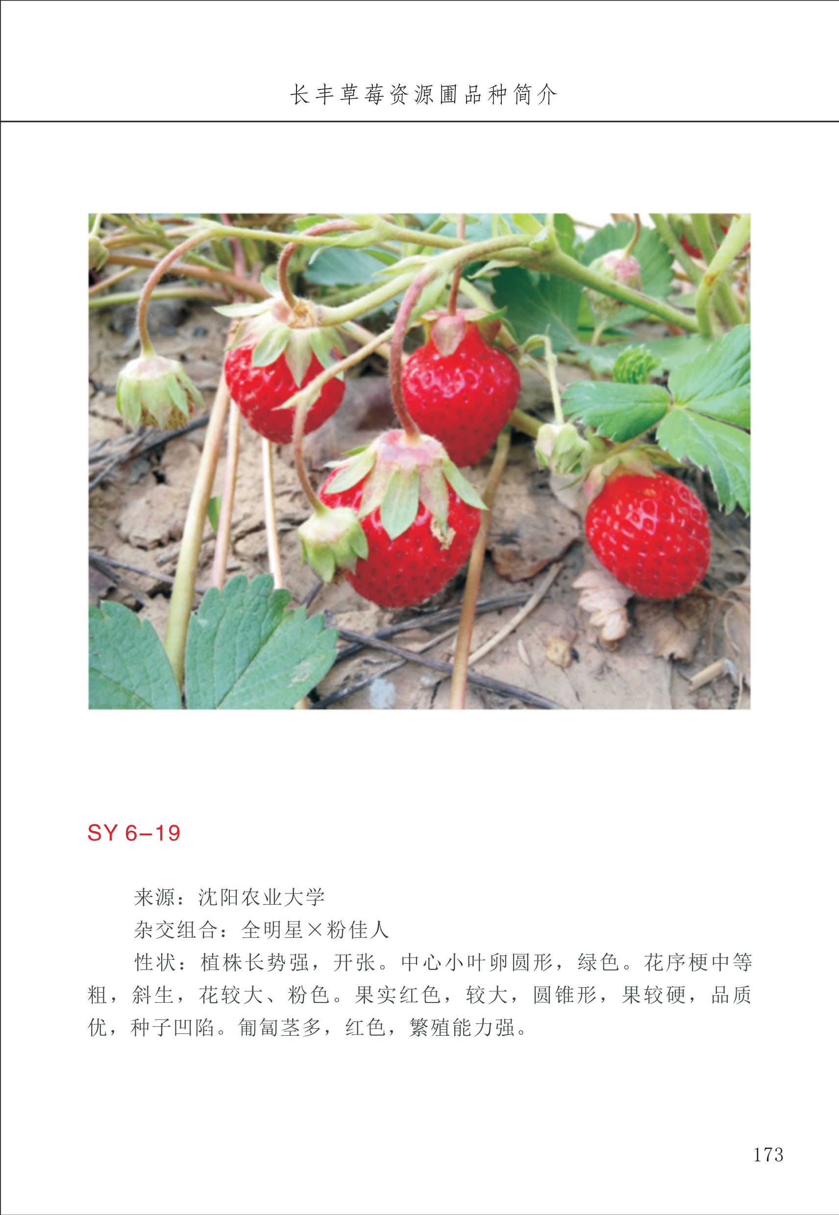 長(cháng)丰农技中心2_73.jpg