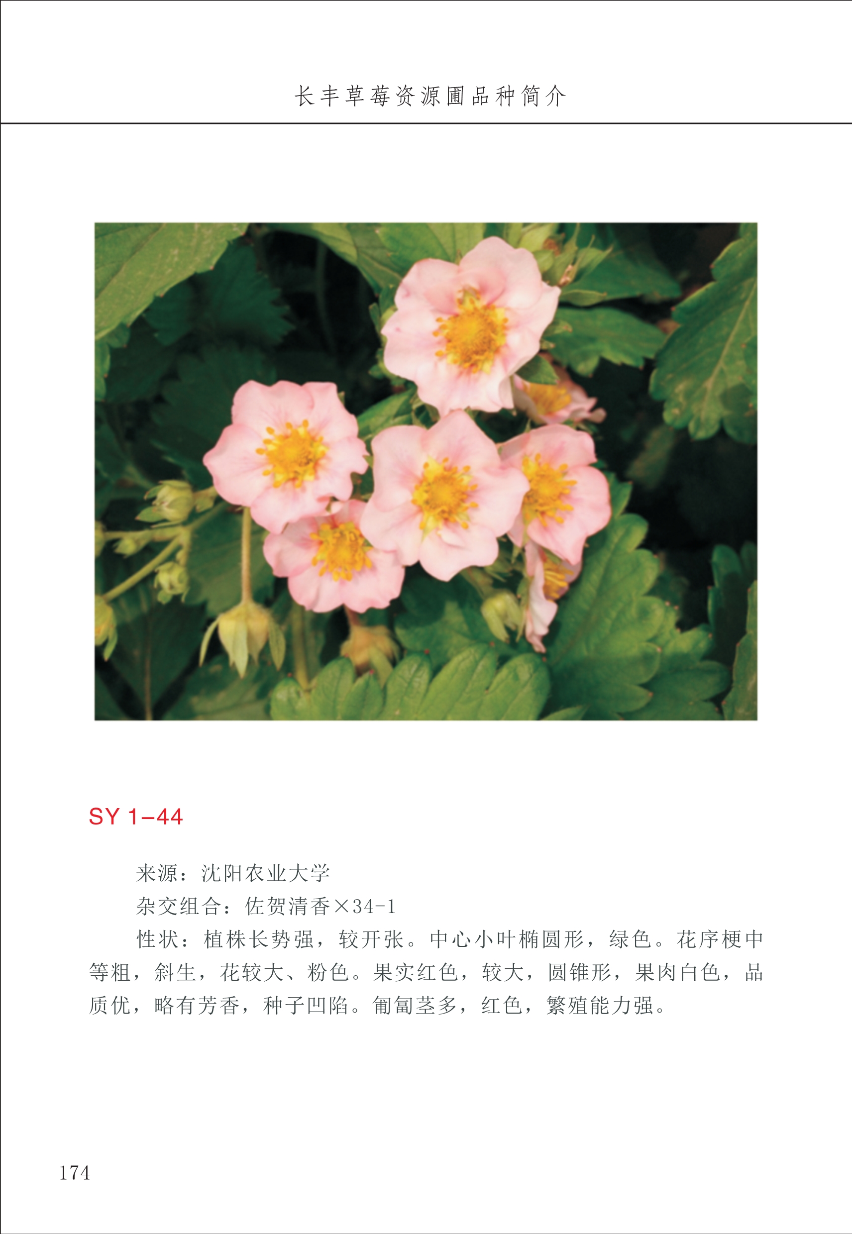 長(cháng)丰农技中心2_74.jpg