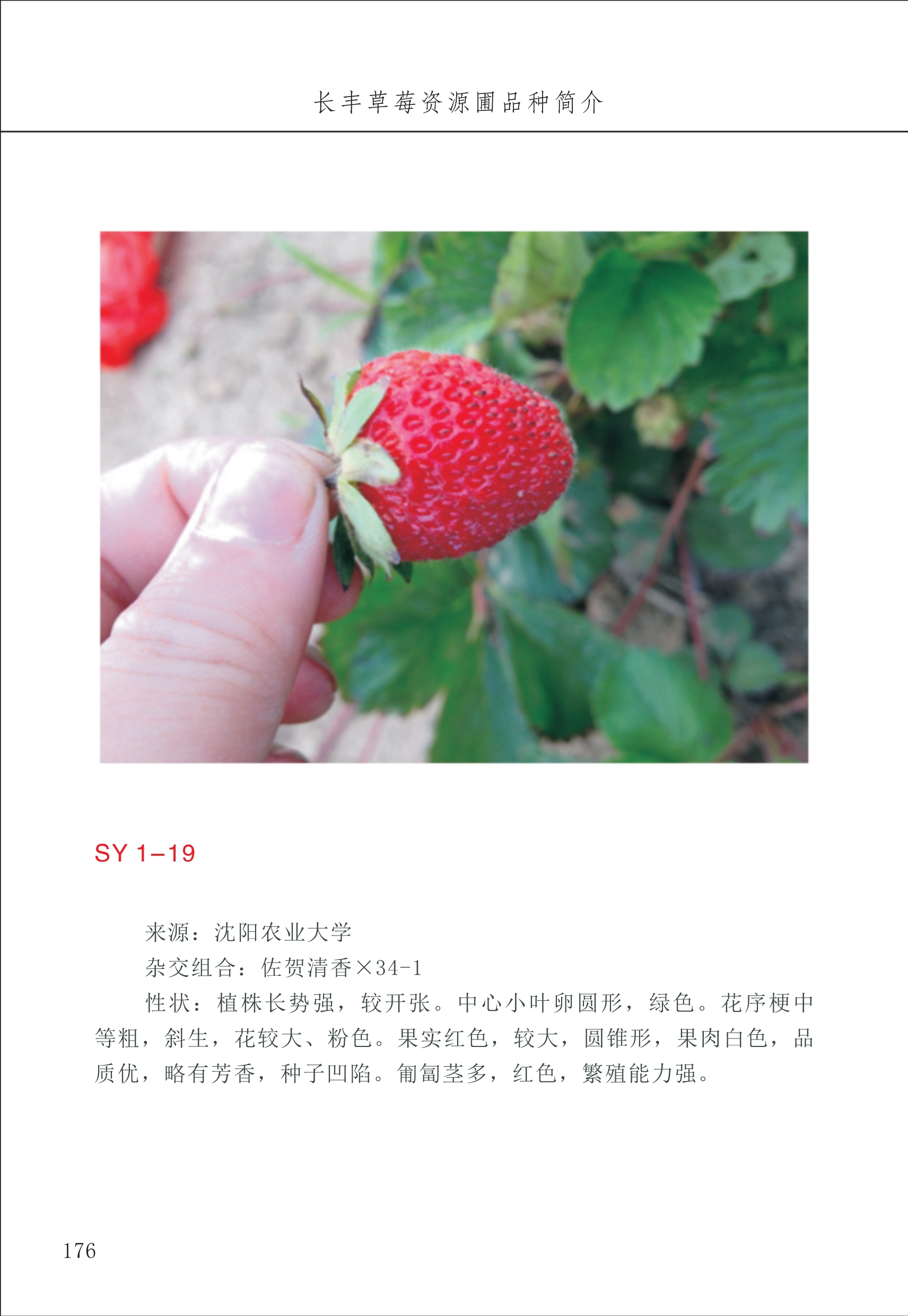 長(cháng)丰农技中心2_76.jpg