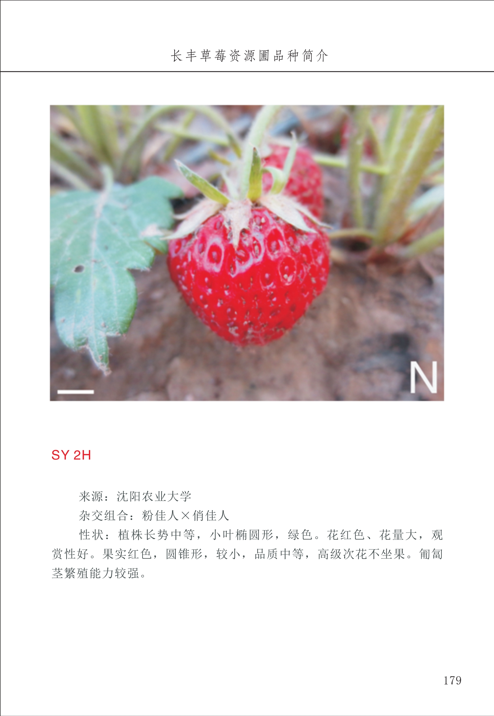 長(cháng)丰农技中心2_79.jpg