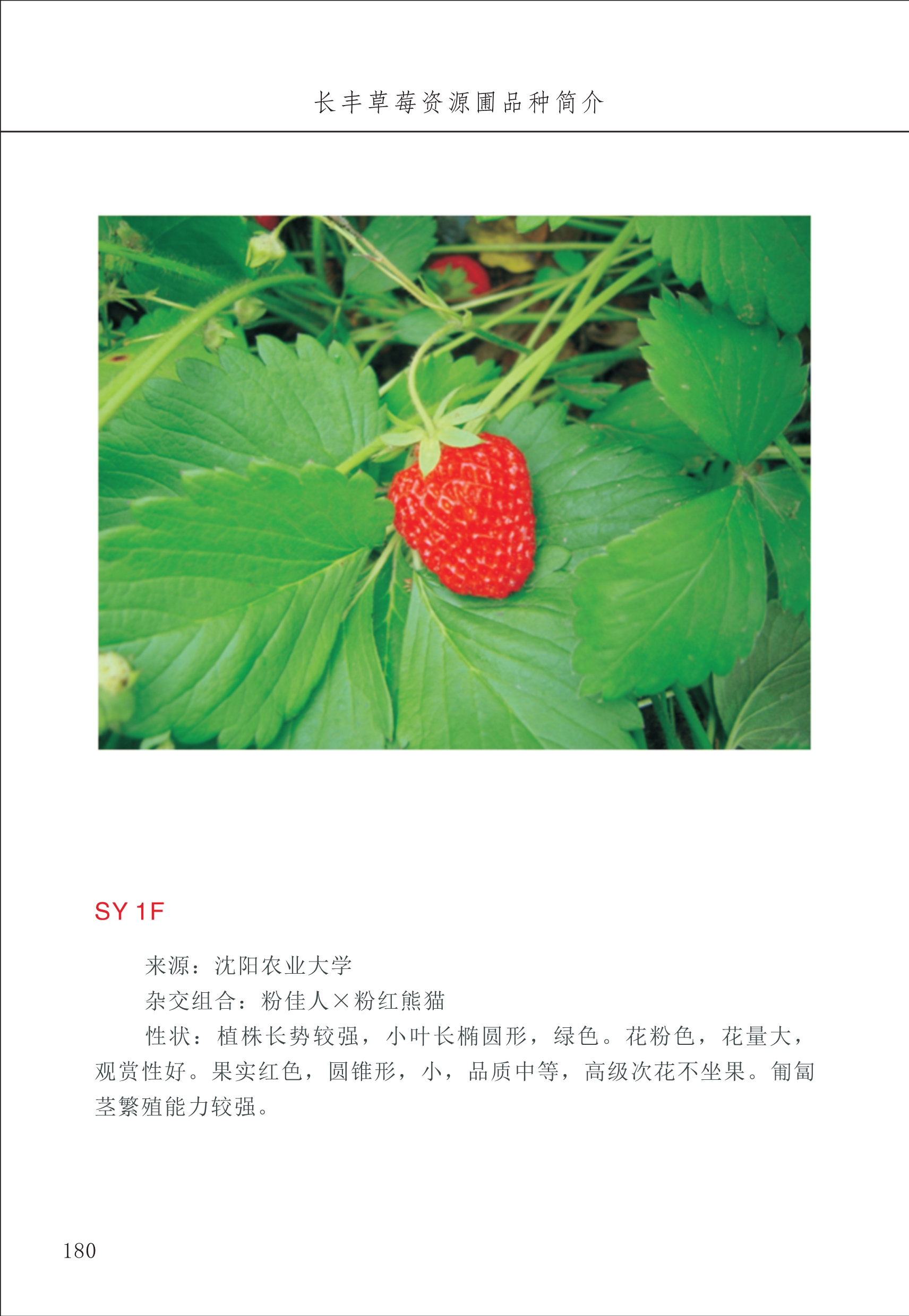 長(cháng)丰农技中心2_80.jpg