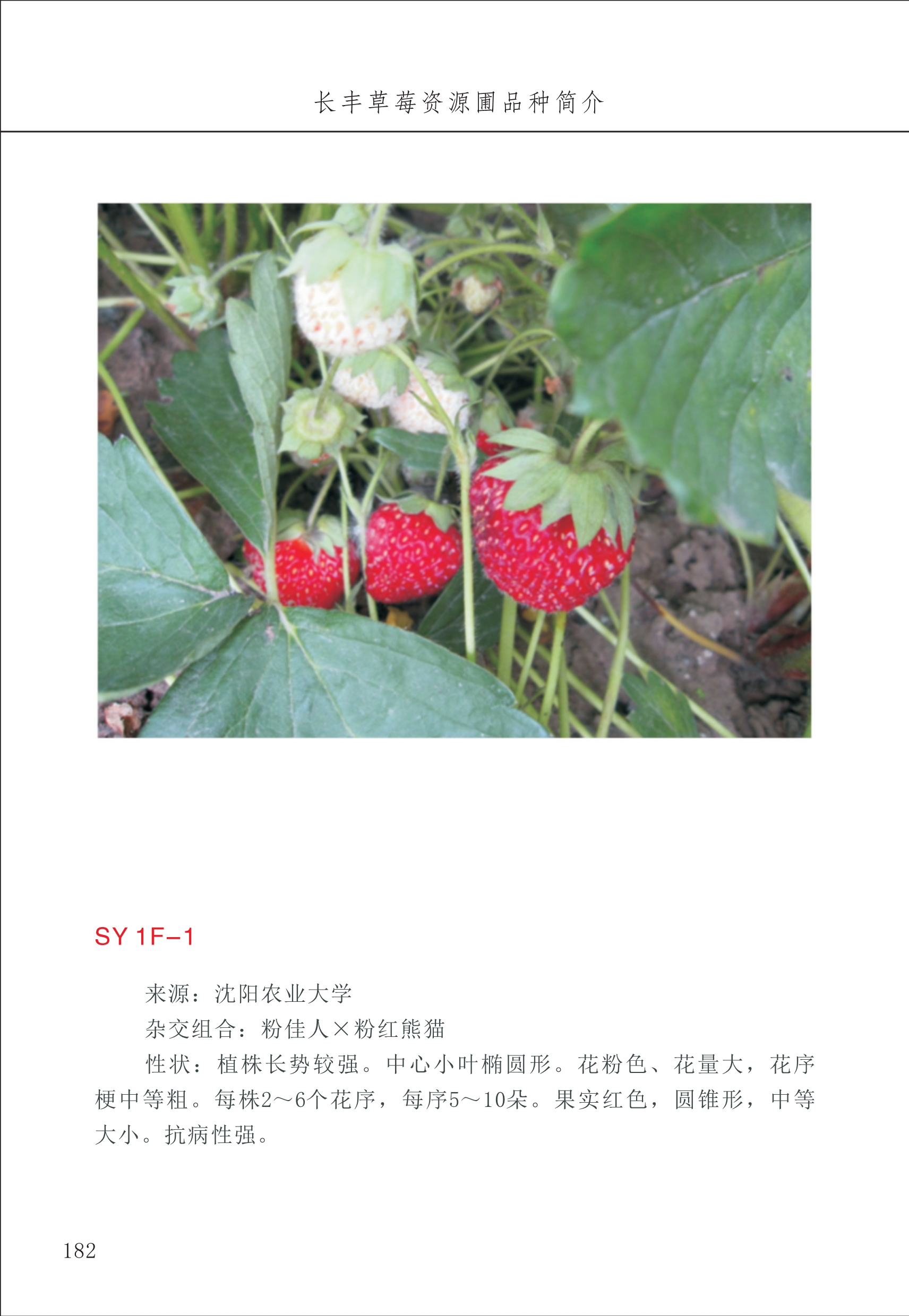 長(cháng)丰农技中心2_82.jpg