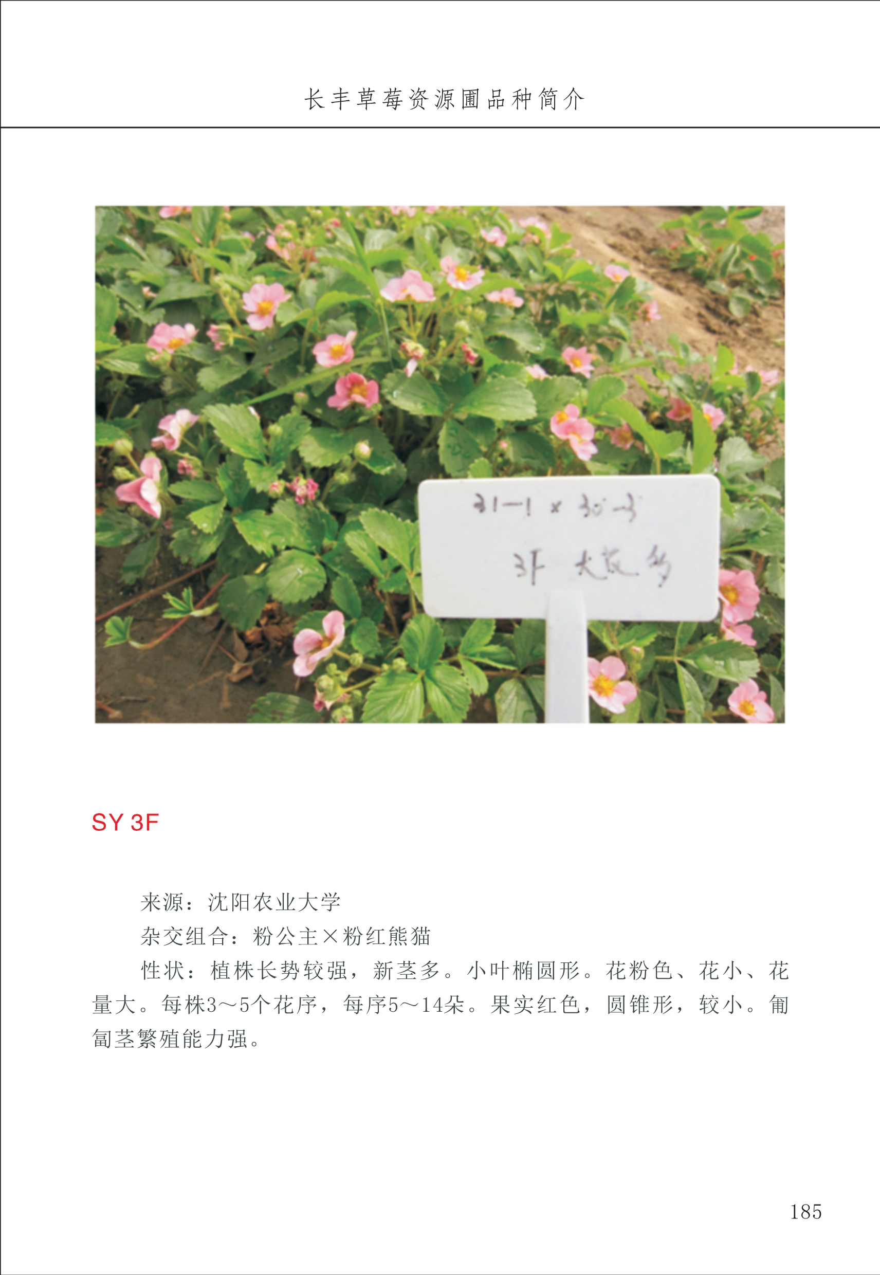 長(cháng)丰农技中心2_85.jpg
