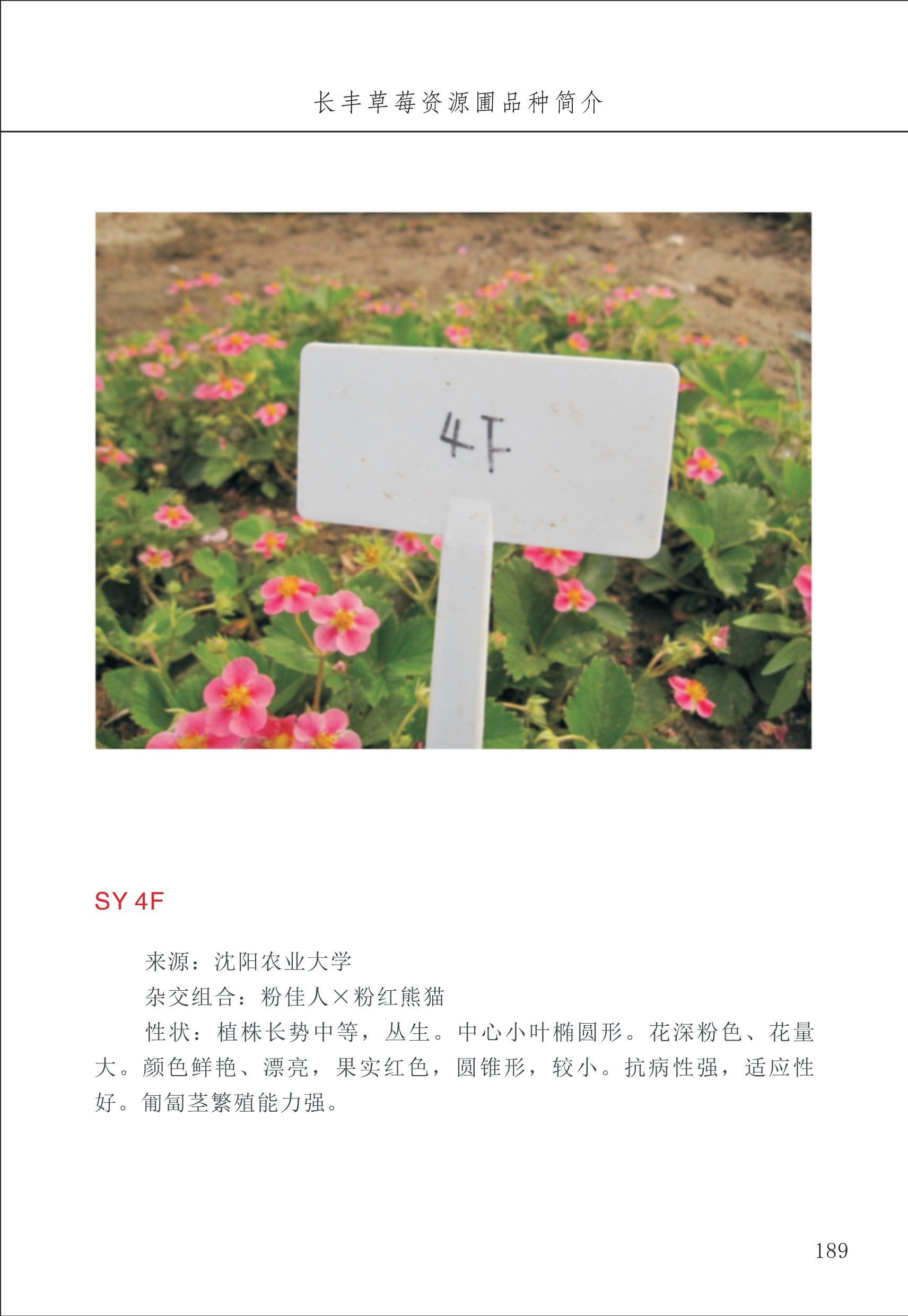 長(cháng)丰农技中心2_89.jpg