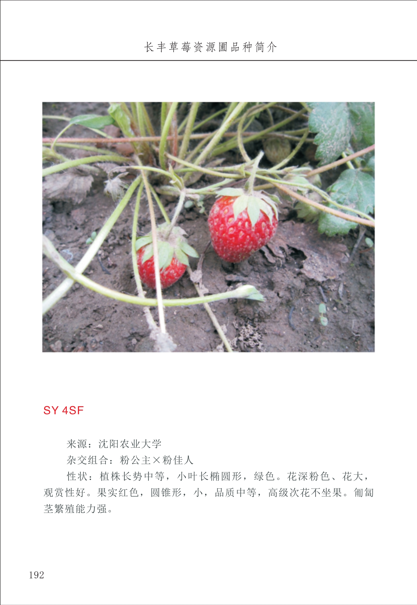 長(cháng)丰农技中心2_92.jpg