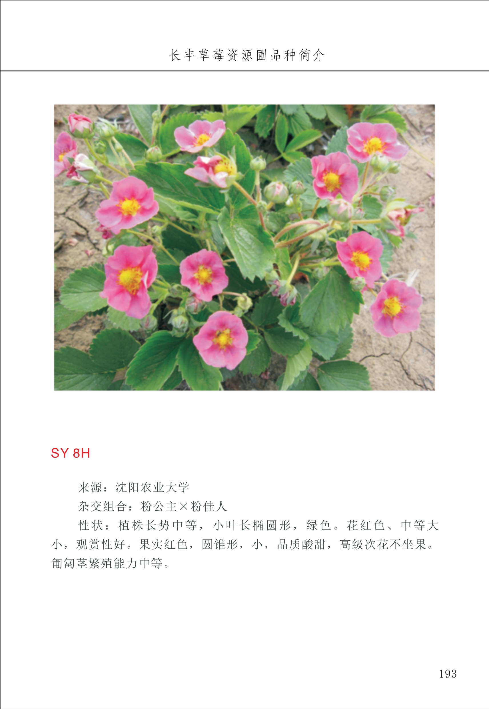 長(cháng)丰农技中心2_93.jpg