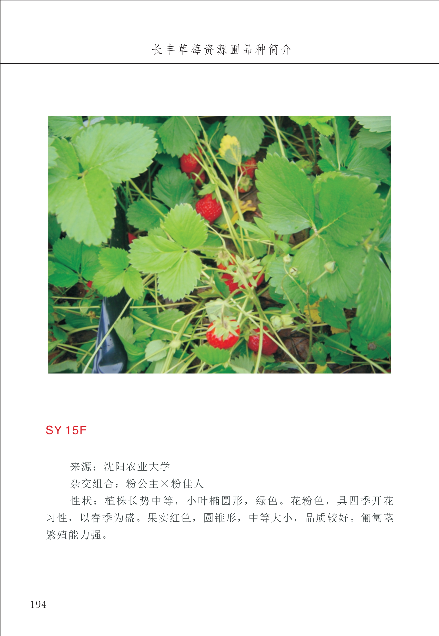 長(cháng)丰农技中心2_94.jpg