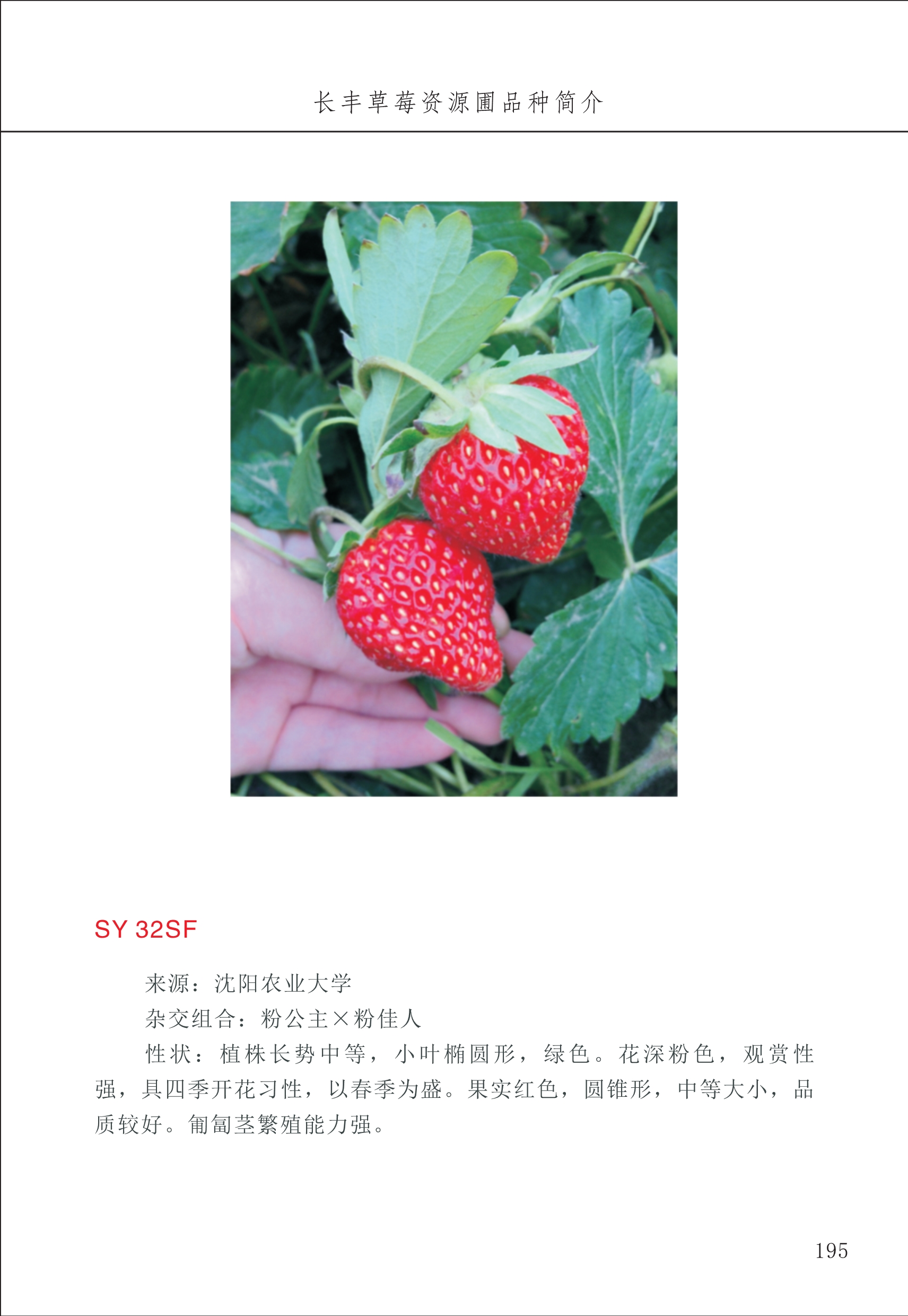 長(cháng)丰农技中心2_95.jpg