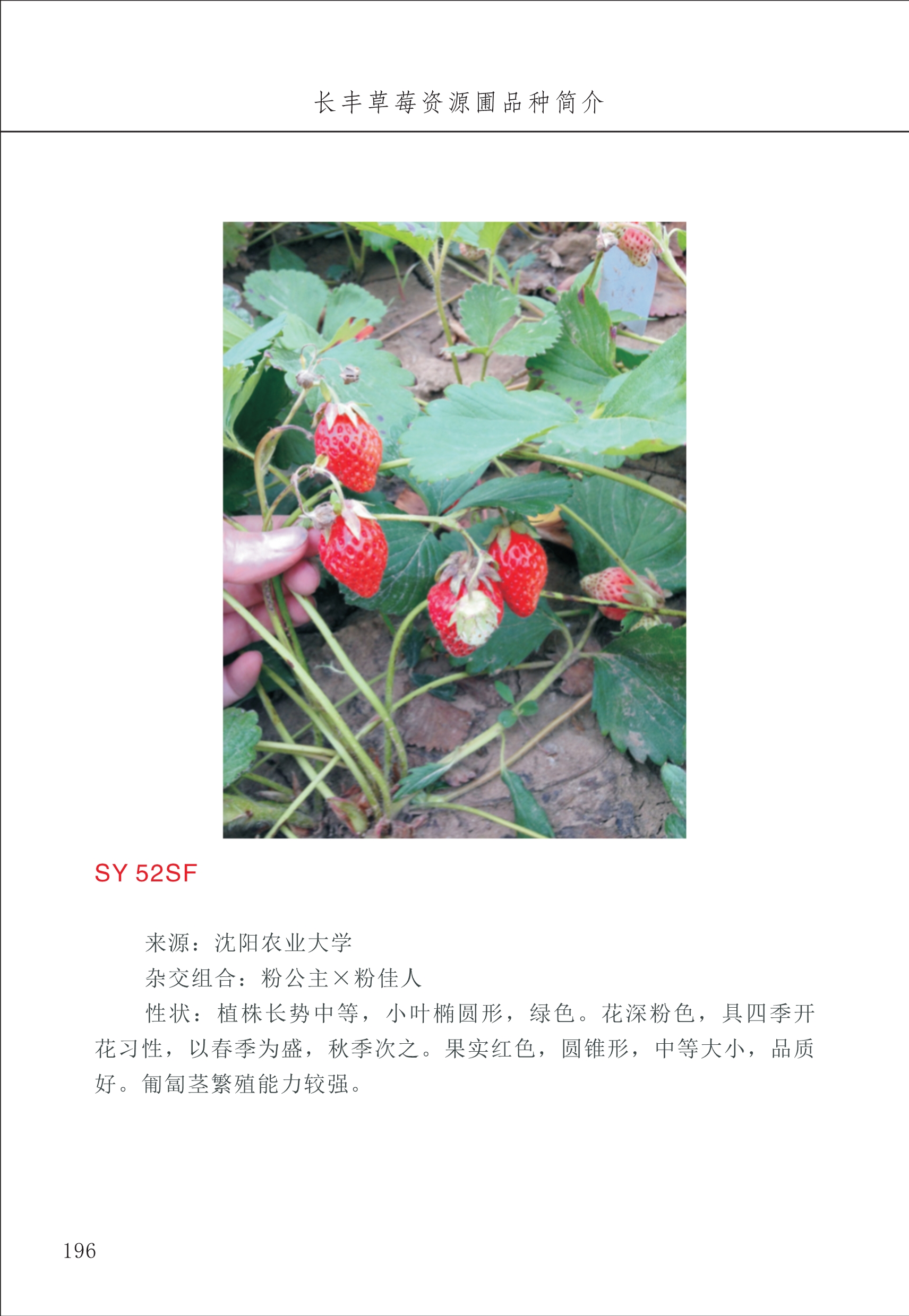 長(cháng)丰农技中心2_96.jpg
