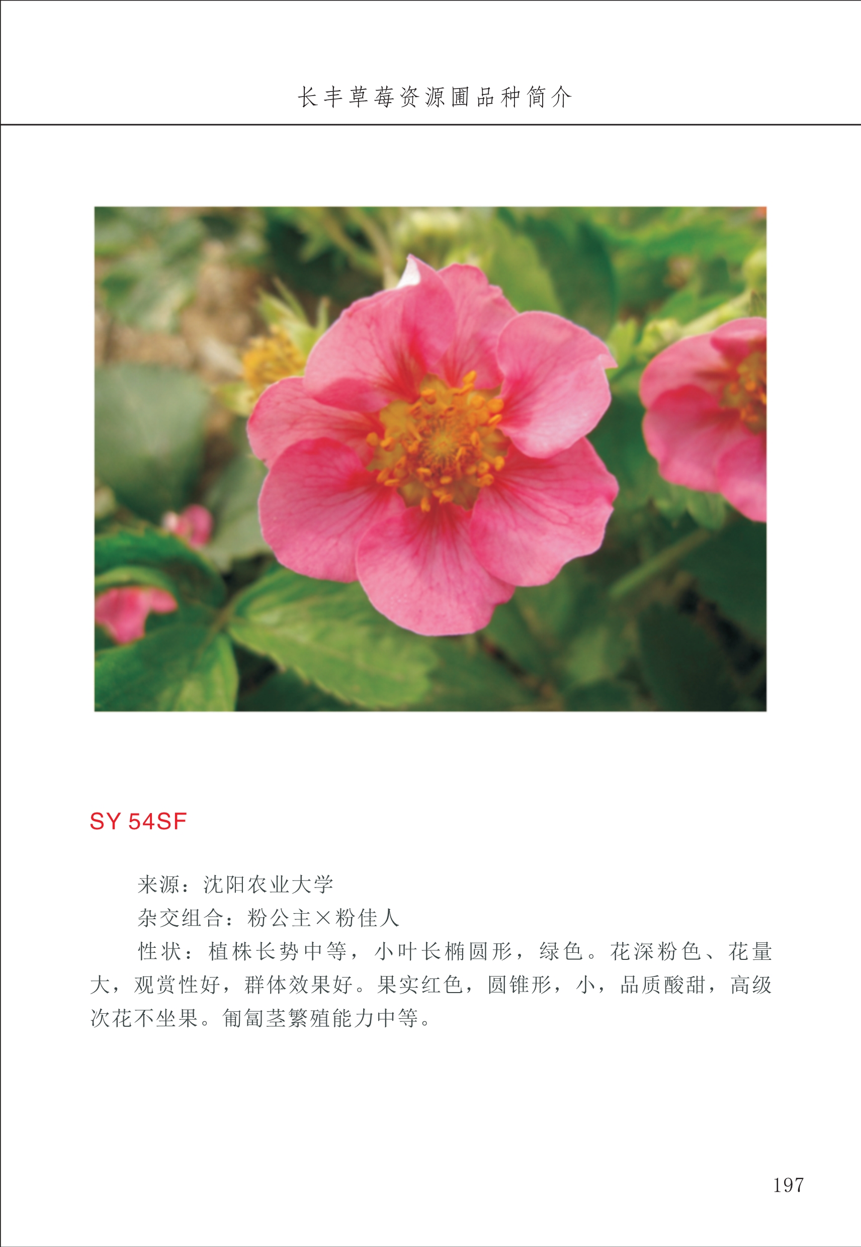 長(cháng)丰农技中心2_97.jpg