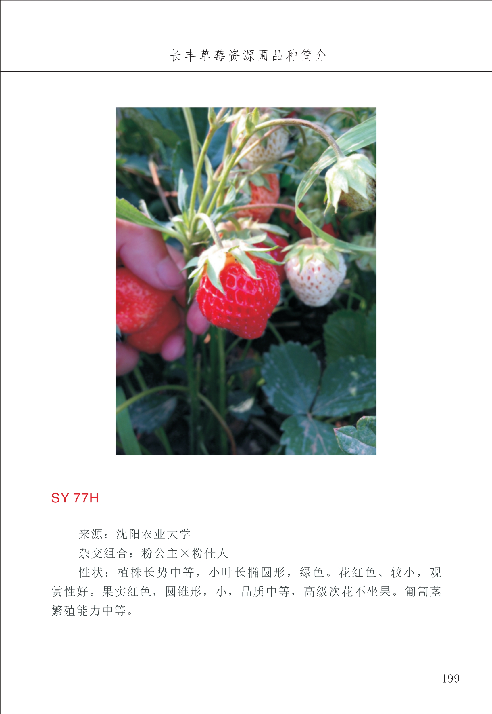 長(cháng)丰农技中心2_99.jpg