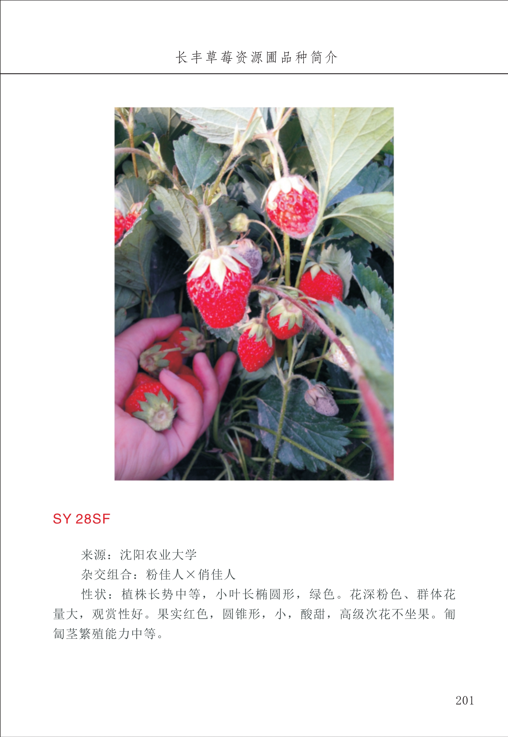 長(cháng)丰农技中心3_1.jpg