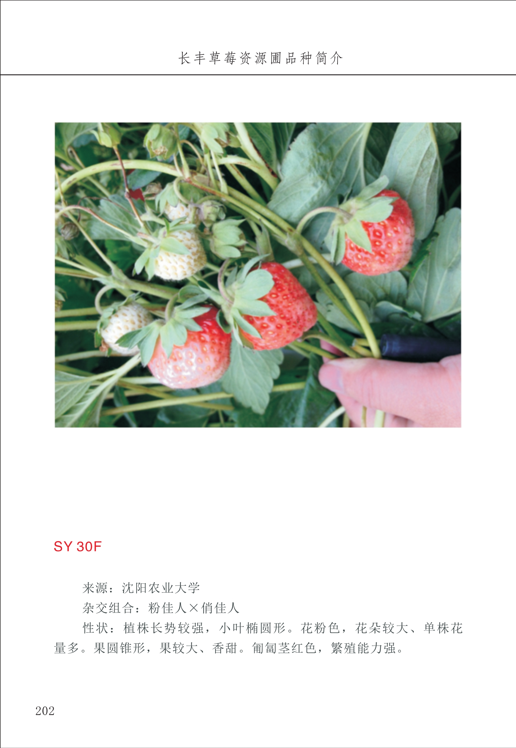 長(cháng)丰农技中心3_2.jpg
