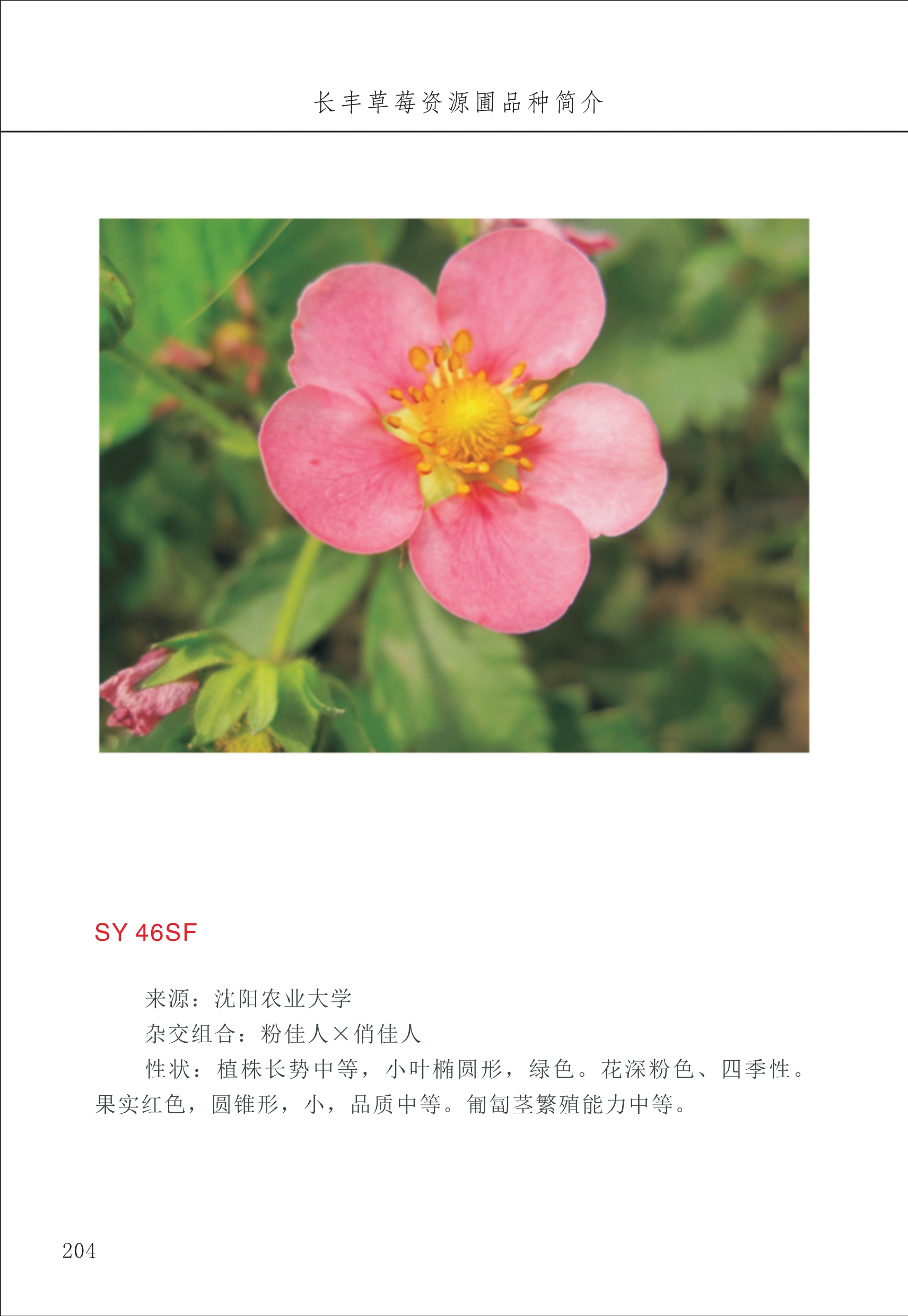 長(cháng)丰农技中心3_4.jpg