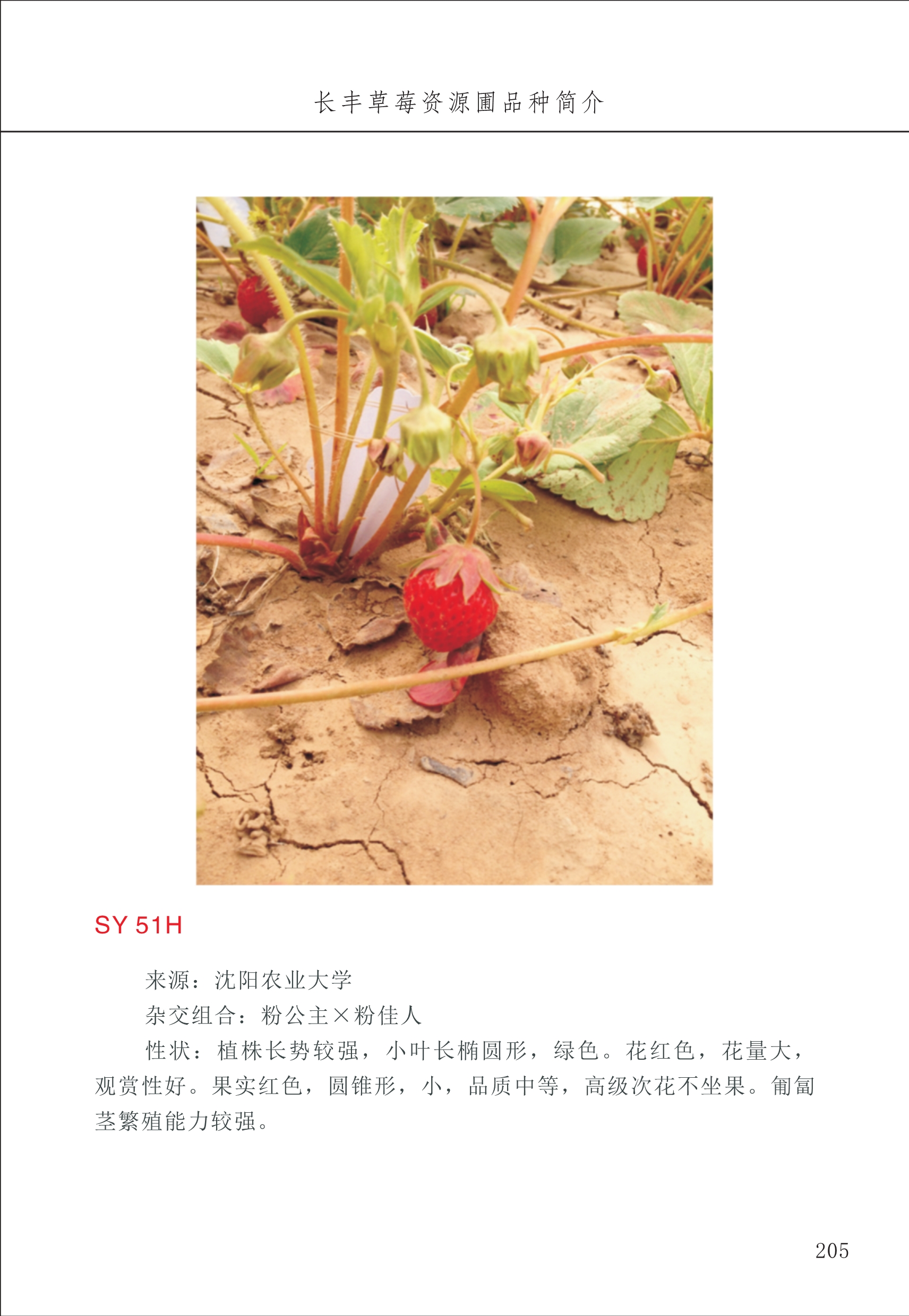 長(cháng)丰农技中心3_5.jpg