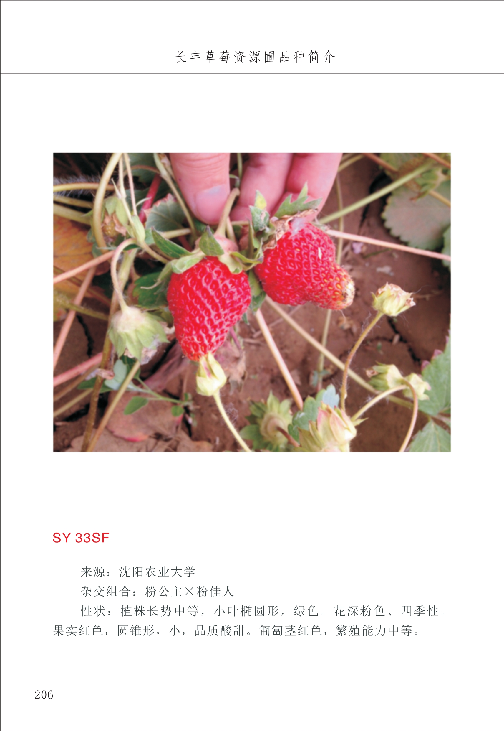 長(cháng)丰农技中心3_6.jpg