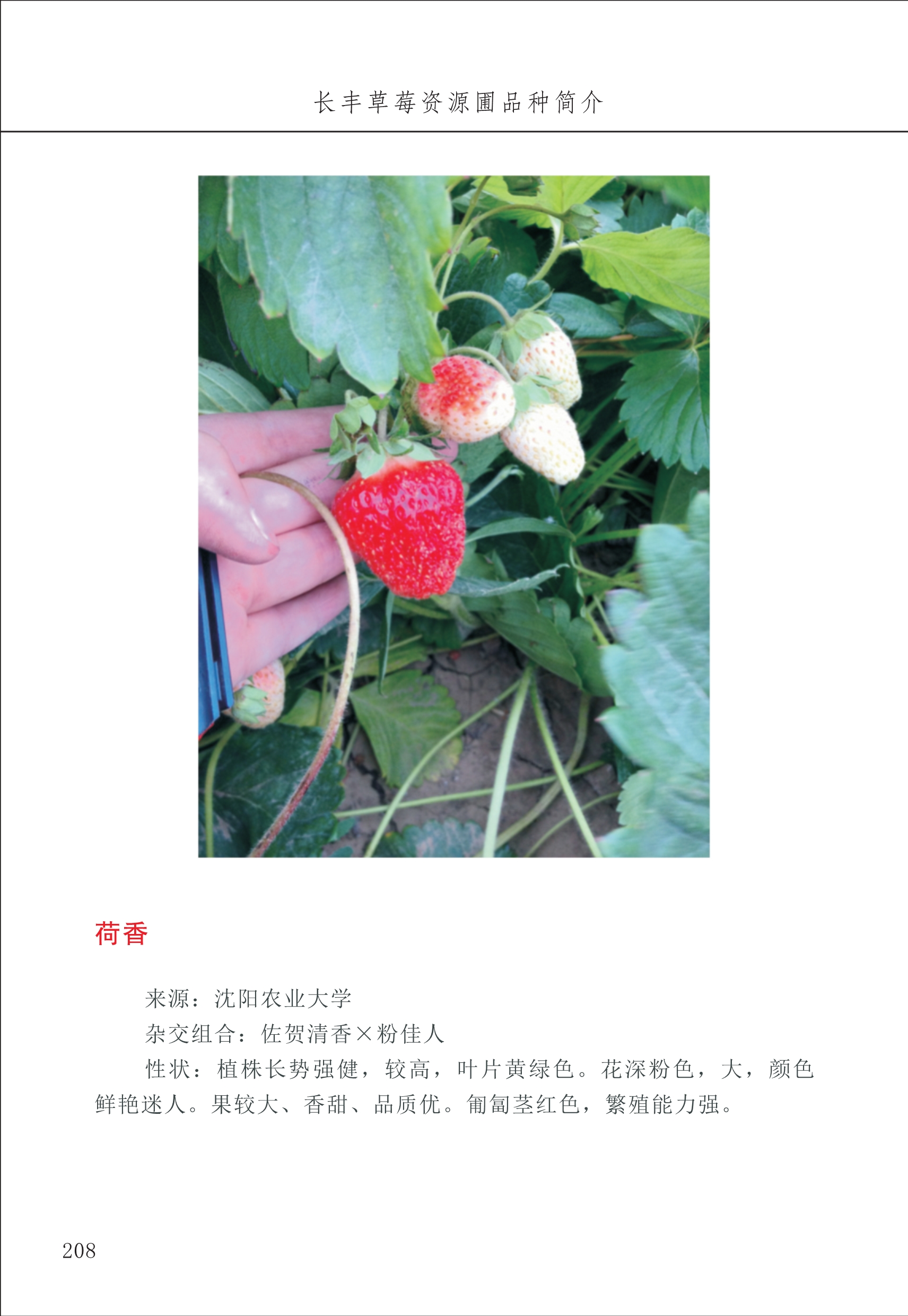 長(cháng)丰农技中心3_8.jpg