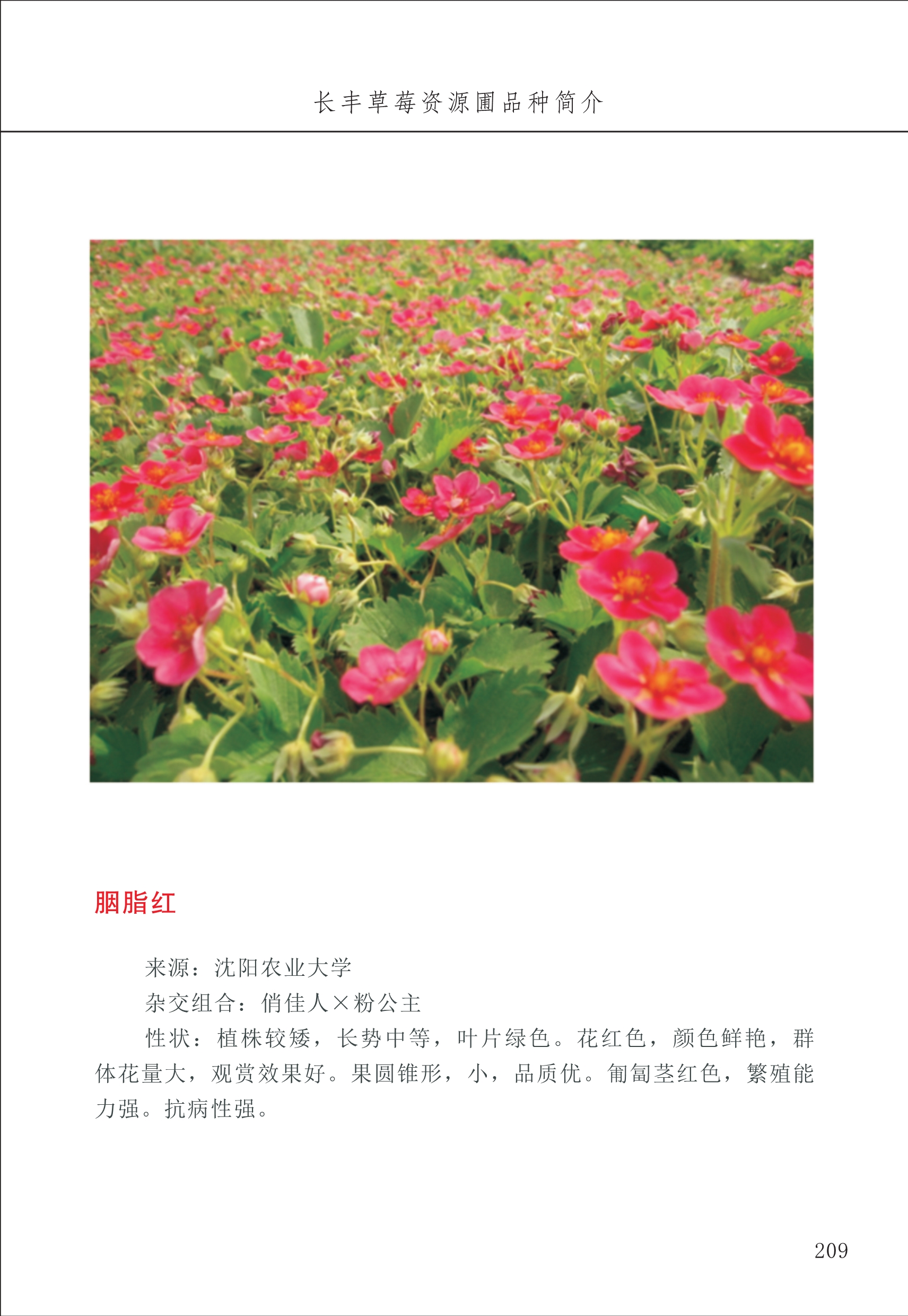 長(cháng)丰农技中心3_9.jpg