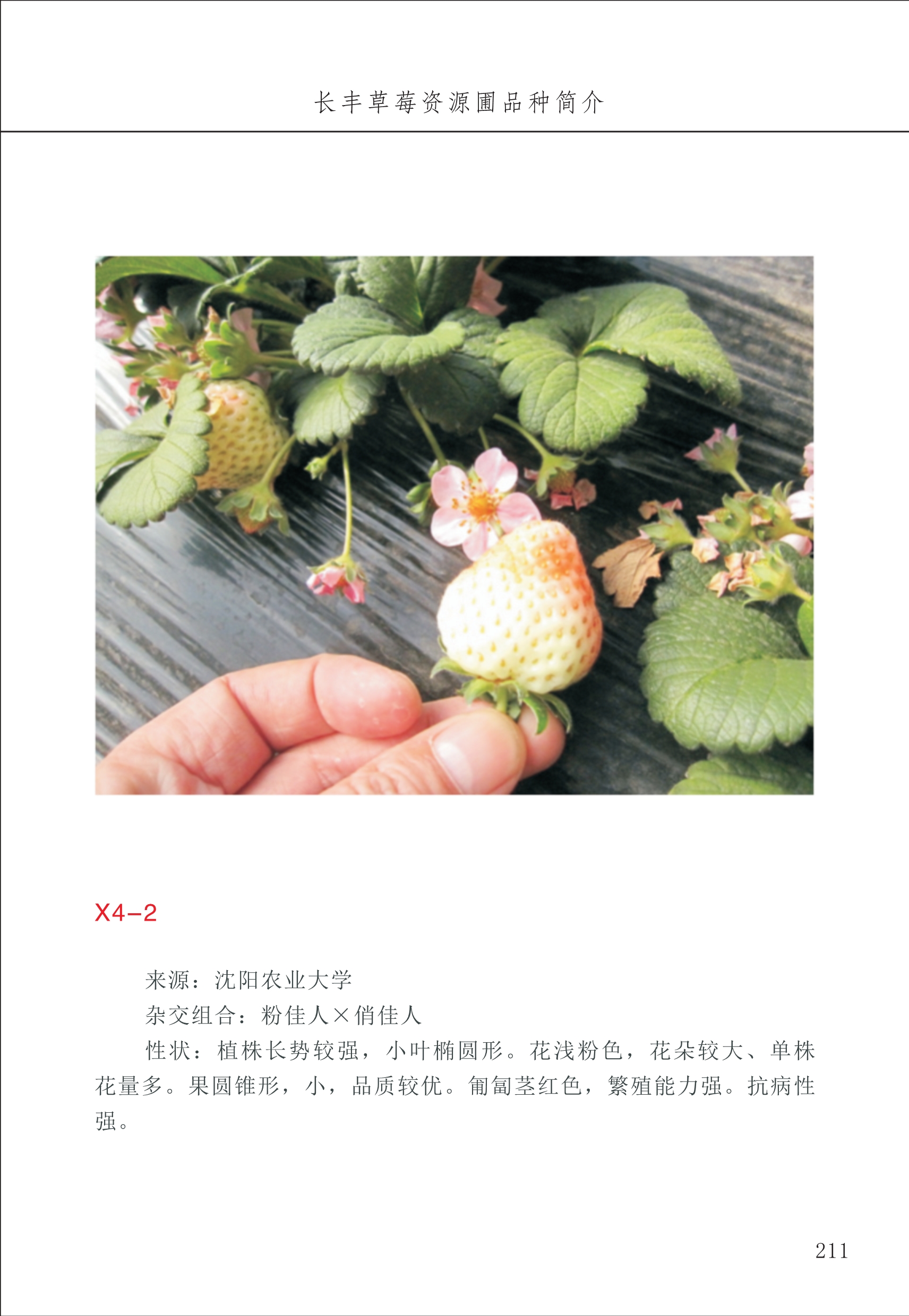 長(cháng)丰农技中心3_11.jpg