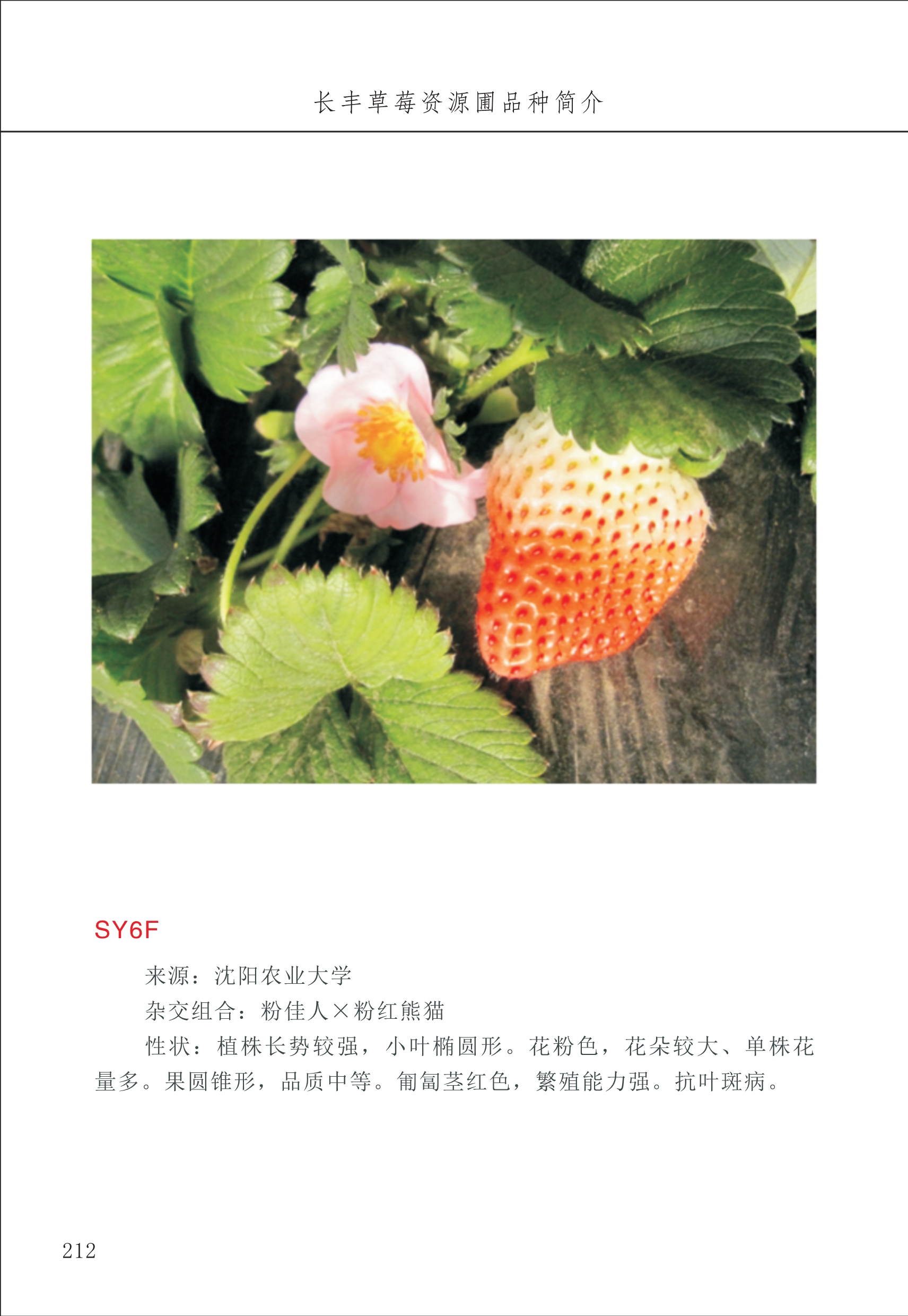 長(cháng)丰农技中心3_12.jpg