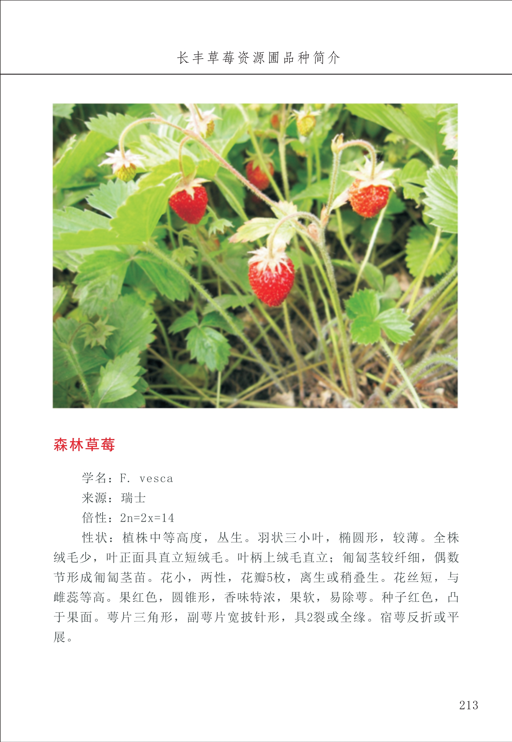 長(cháng)丰农技中心3_13.jpg