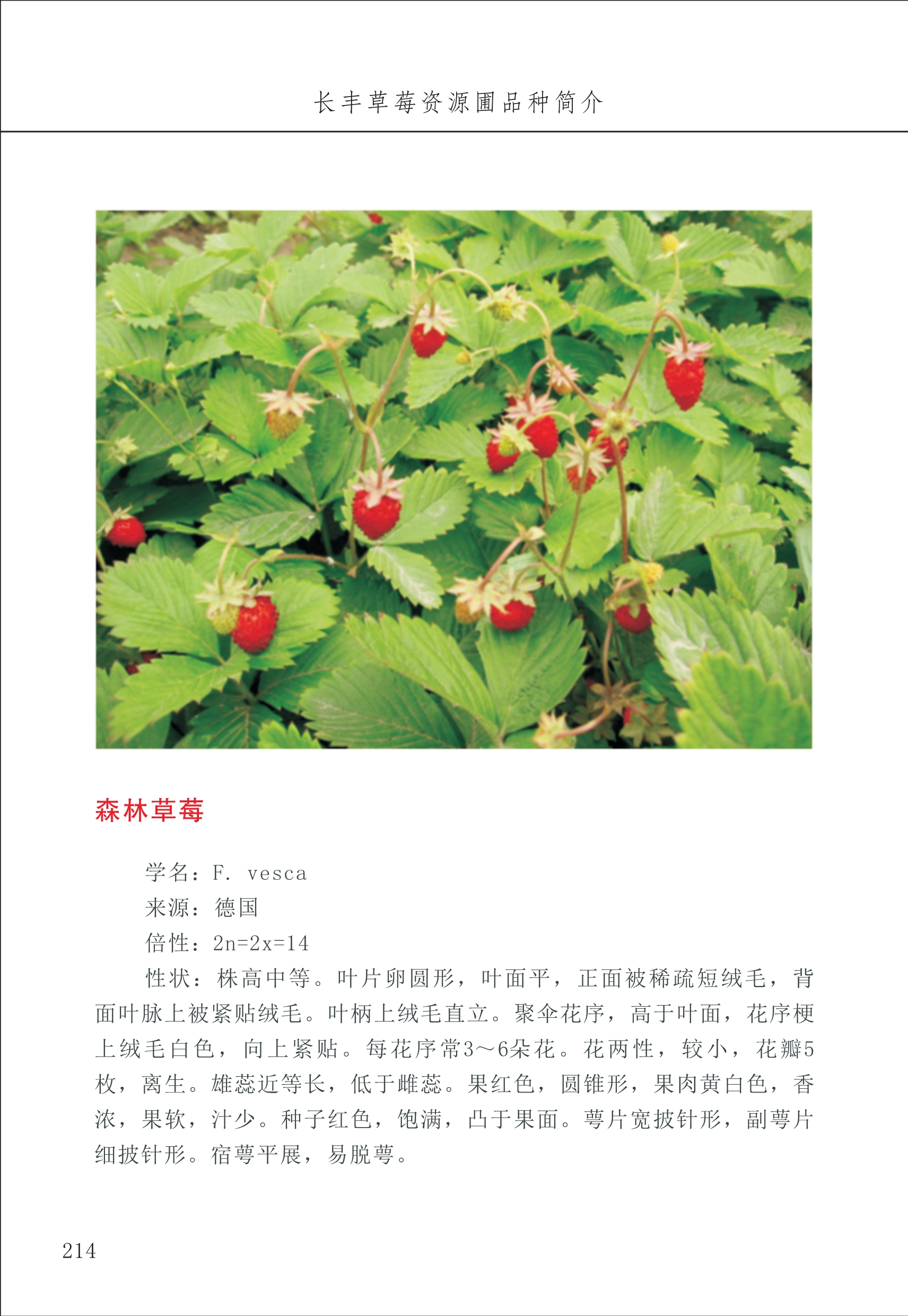 長(cháng)丰农技中心3_14.jpg