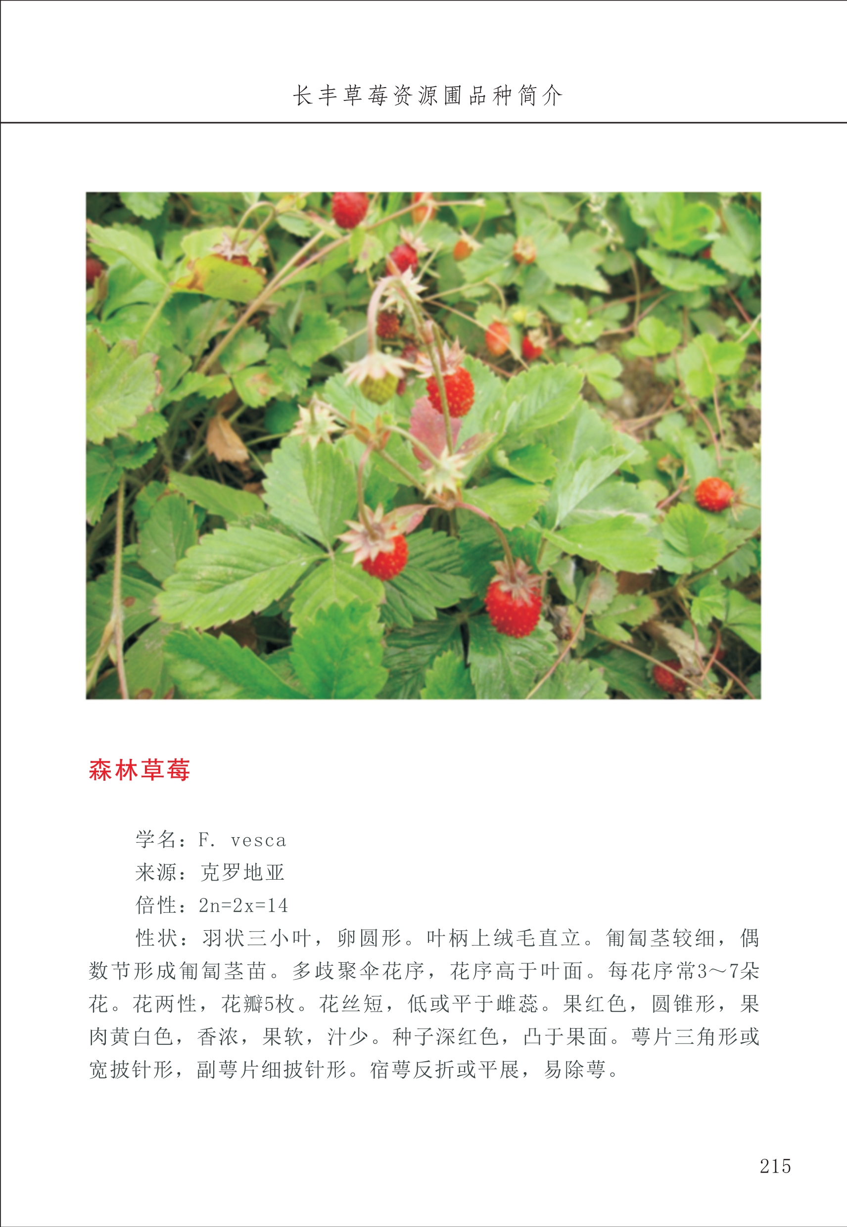 長(cháng)丰农技中心3_15.jpg
