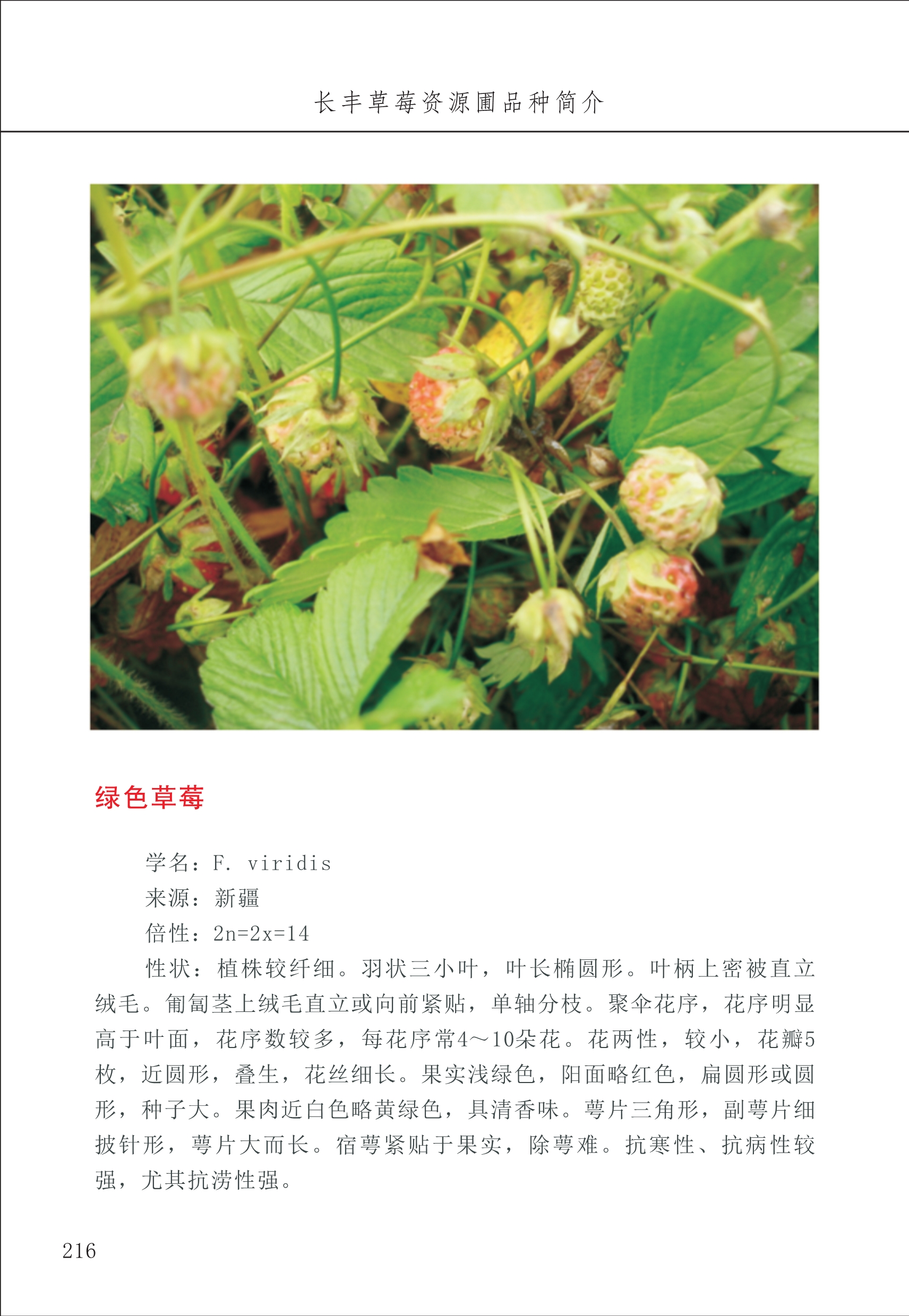 長(cháng)丰农技中心3_16.jpg