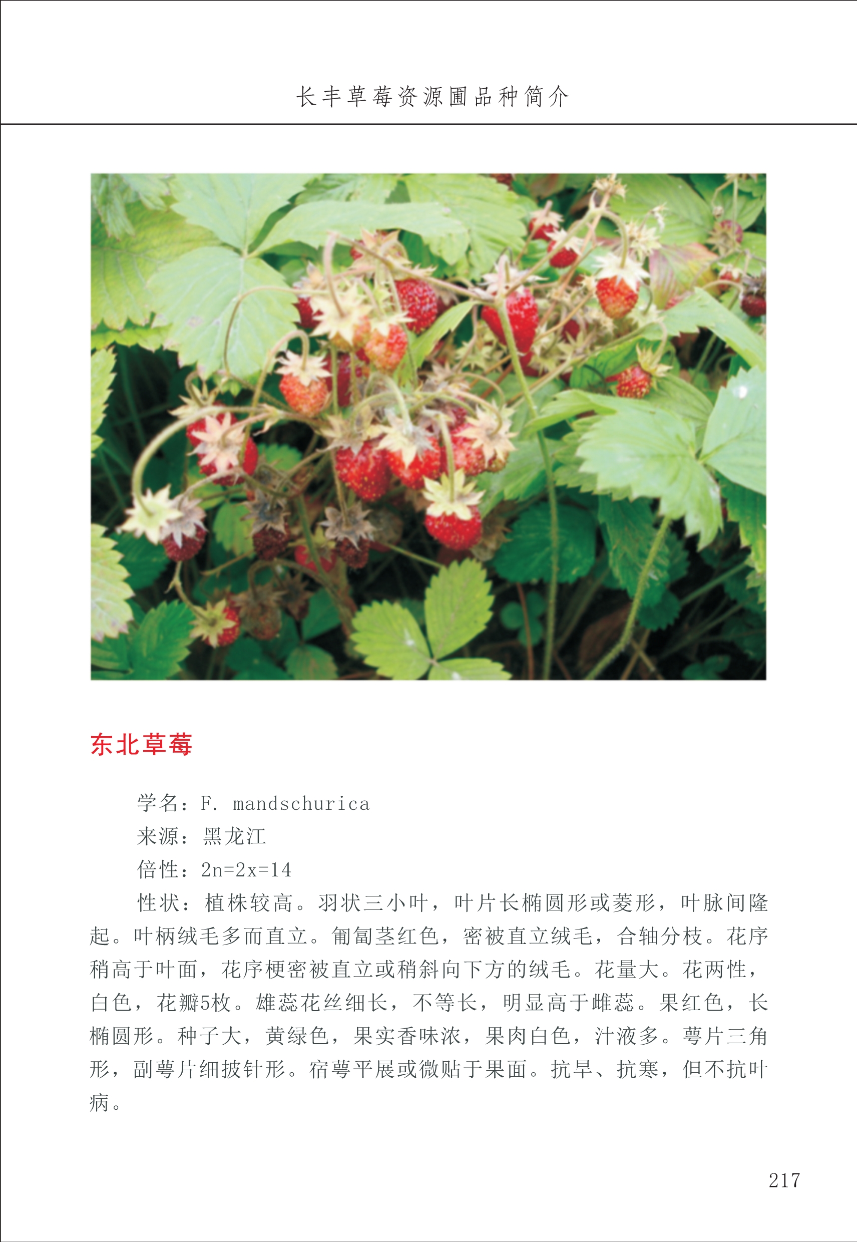 長(cháng)丰农技中心3_17.jpg