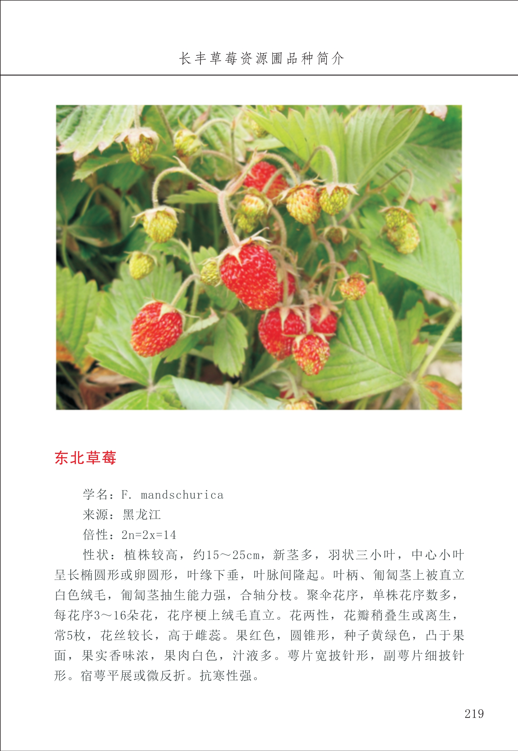 長(cháng)丰农技中心3_19.jpg