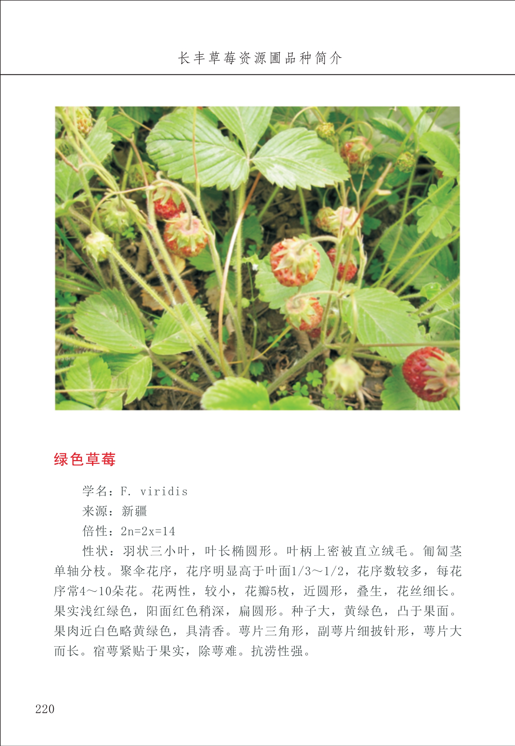 長(cháng)丰农技中心3_20.jpg