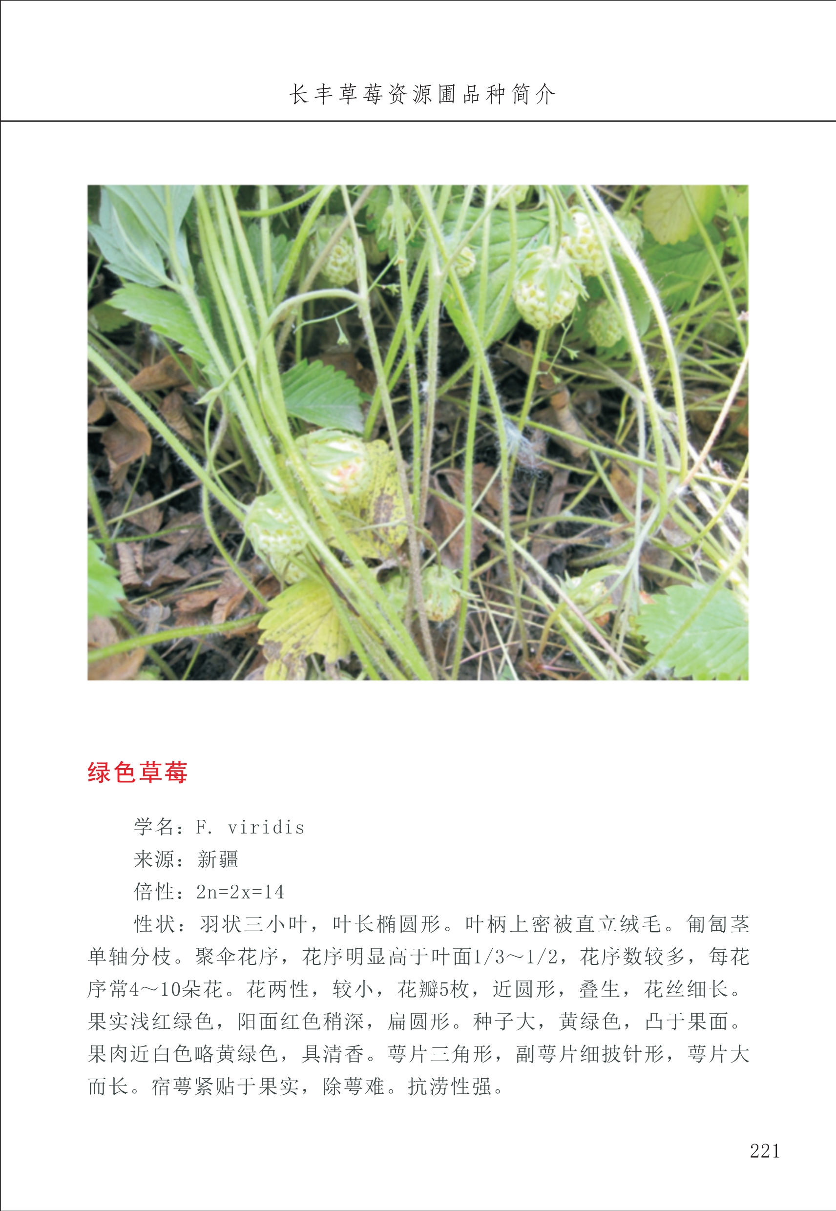 長(cháng)丰农技中心3_21.jpg
