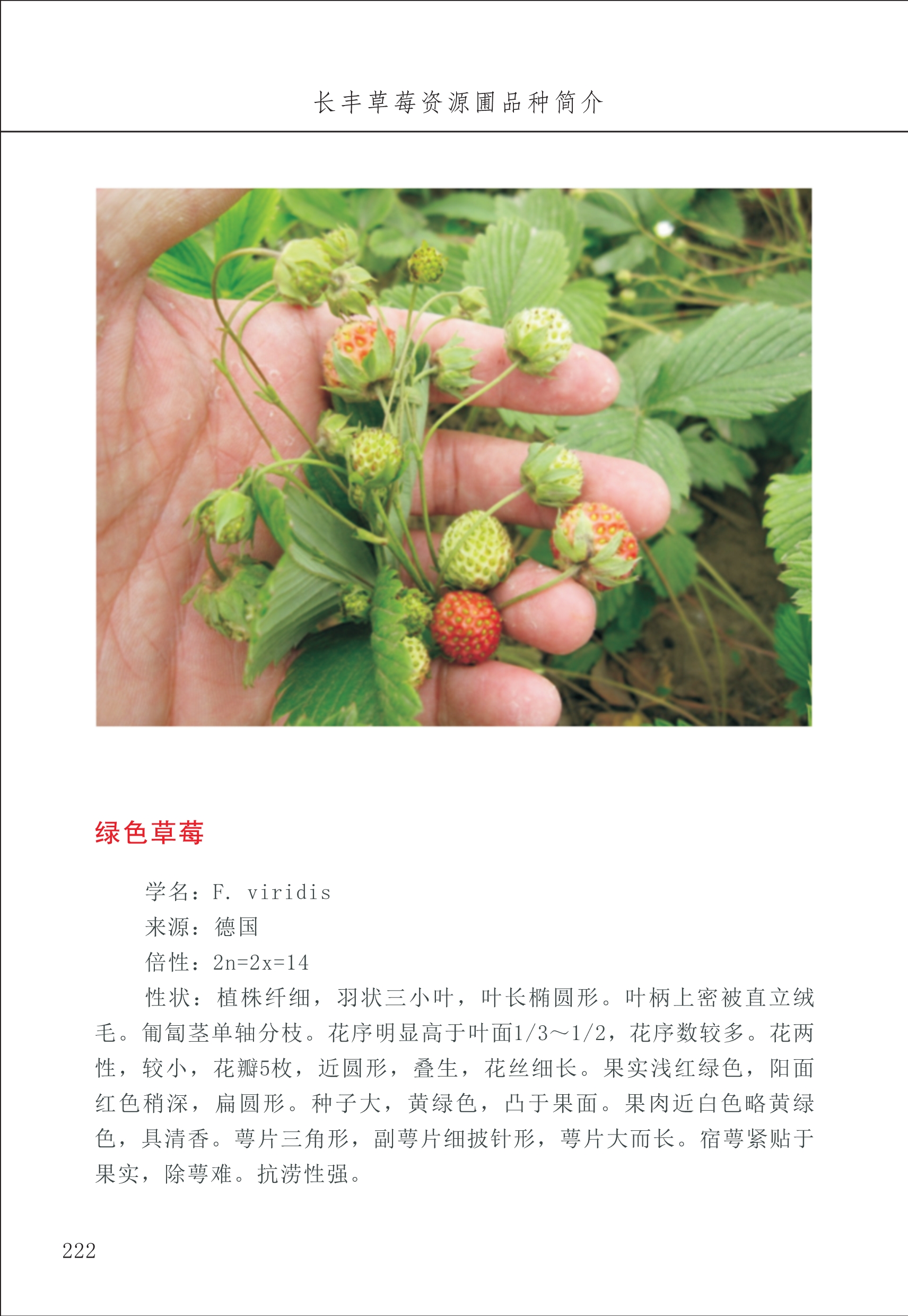 長(cháng)丰农技中心3_22.jpg