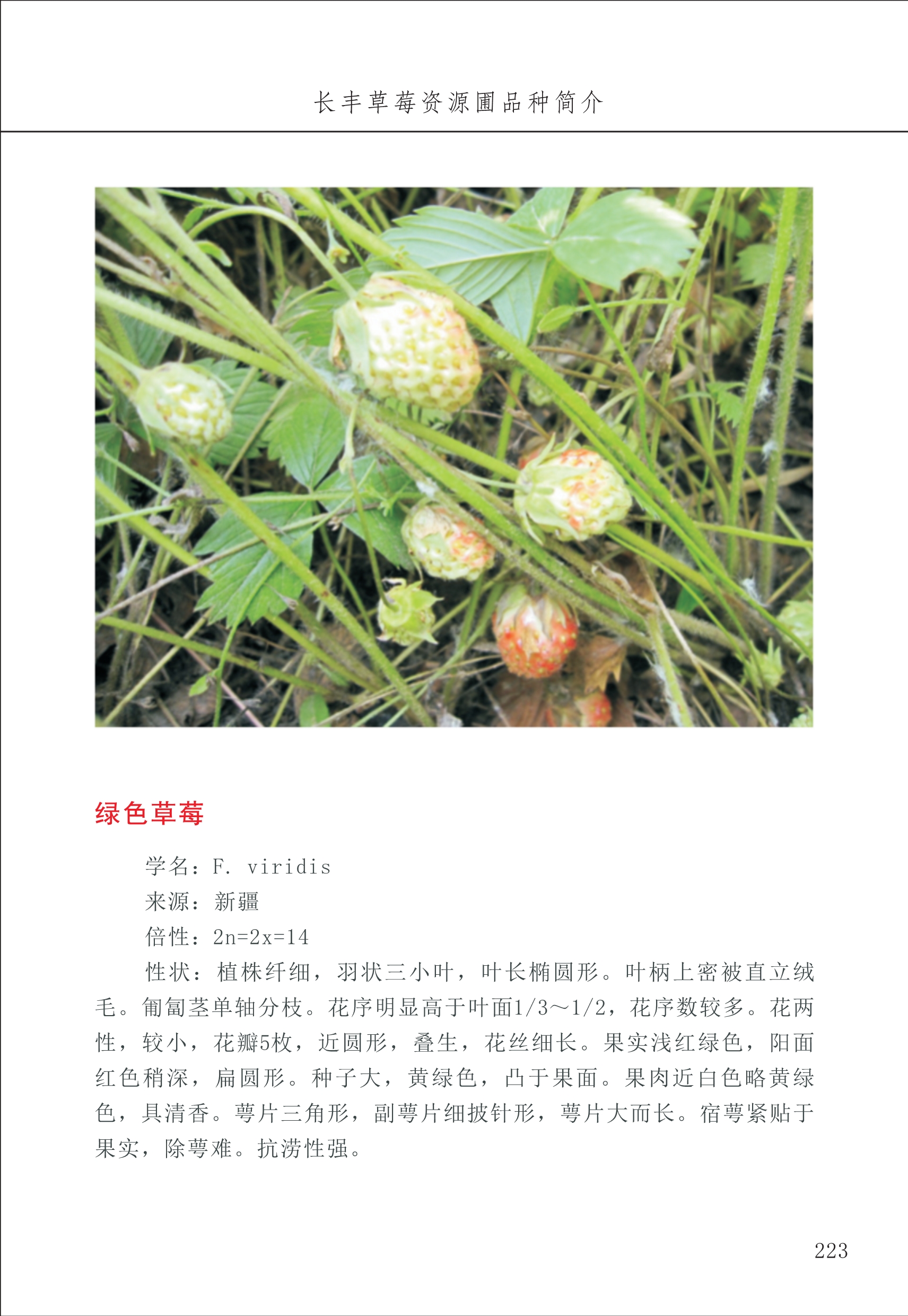長(cháng)丰农技中心3_23.jpg