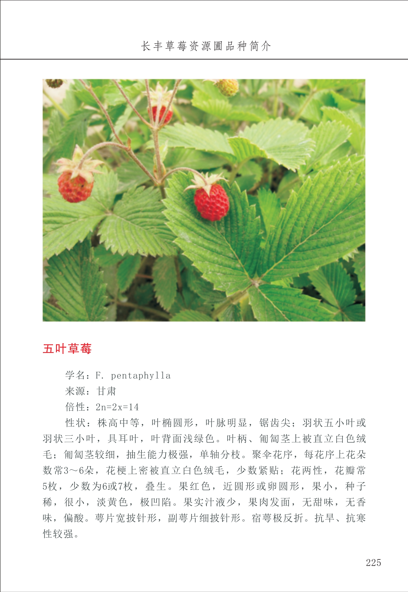 長(cháng)丰农技中心3_25.jpg