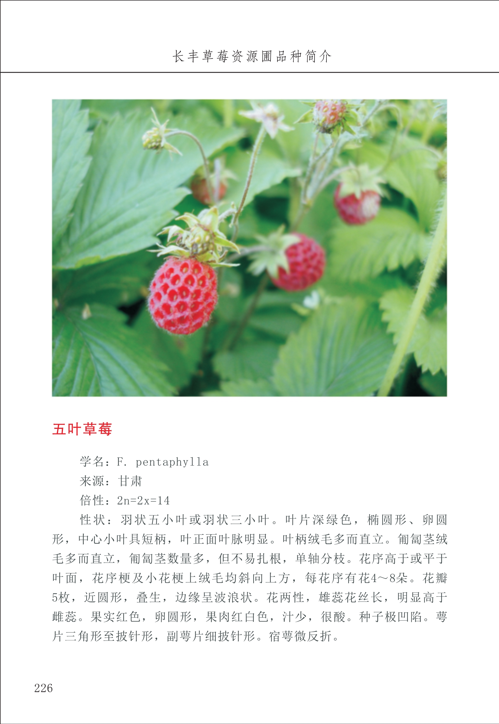 長(cháng)丰农技中心3_26.jpg