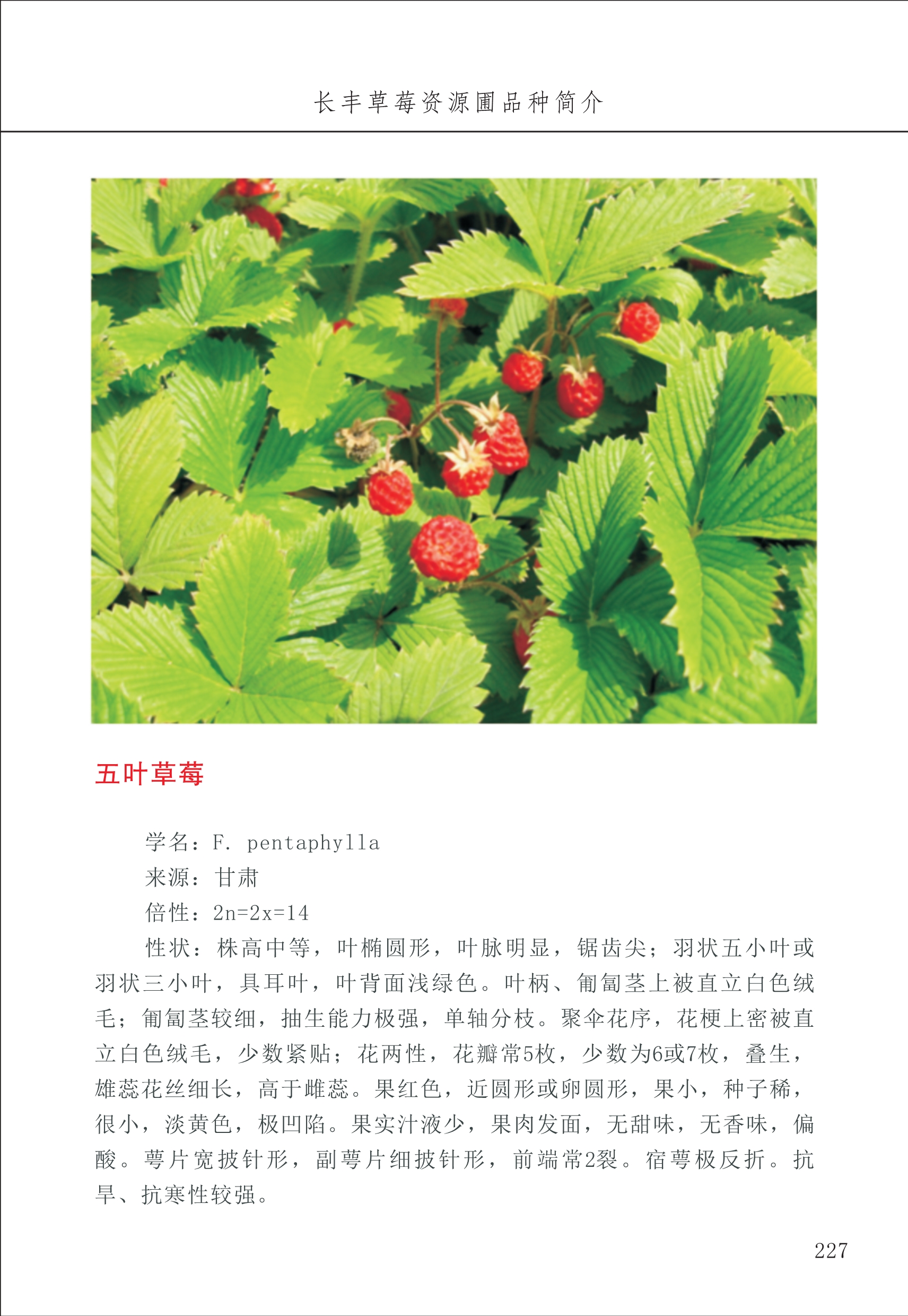 長(cháng)丰农技中心3_27.jpg