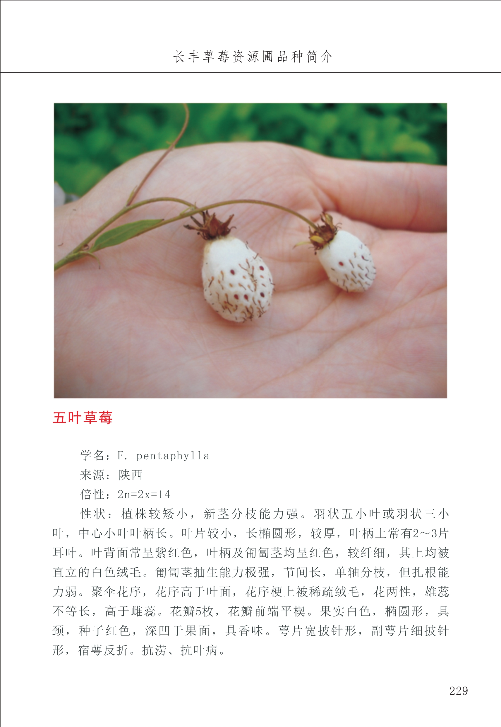長(cháng)丰农技中心3_29.jpg