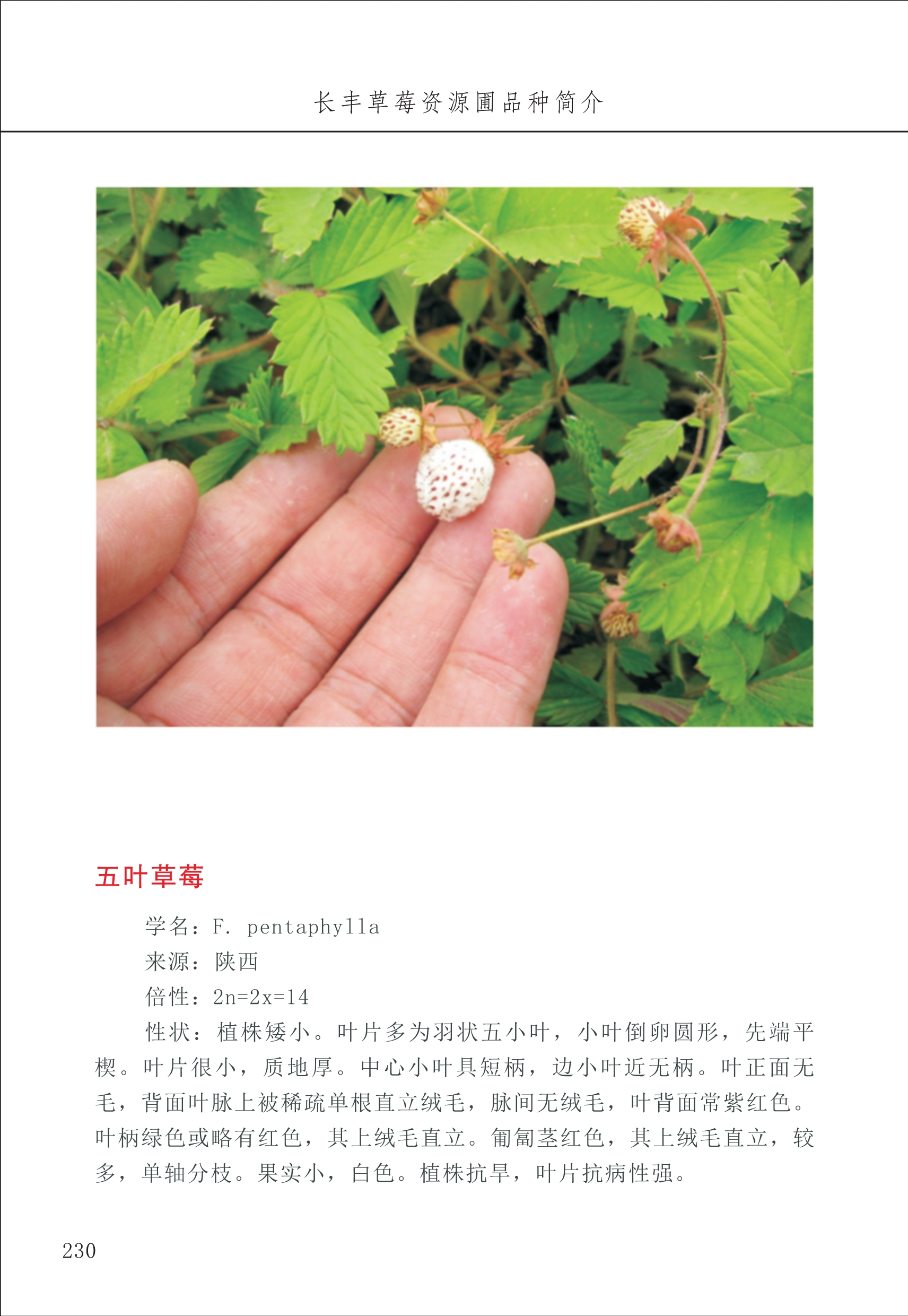 長(cháng)丰农技中心3_30.jpg