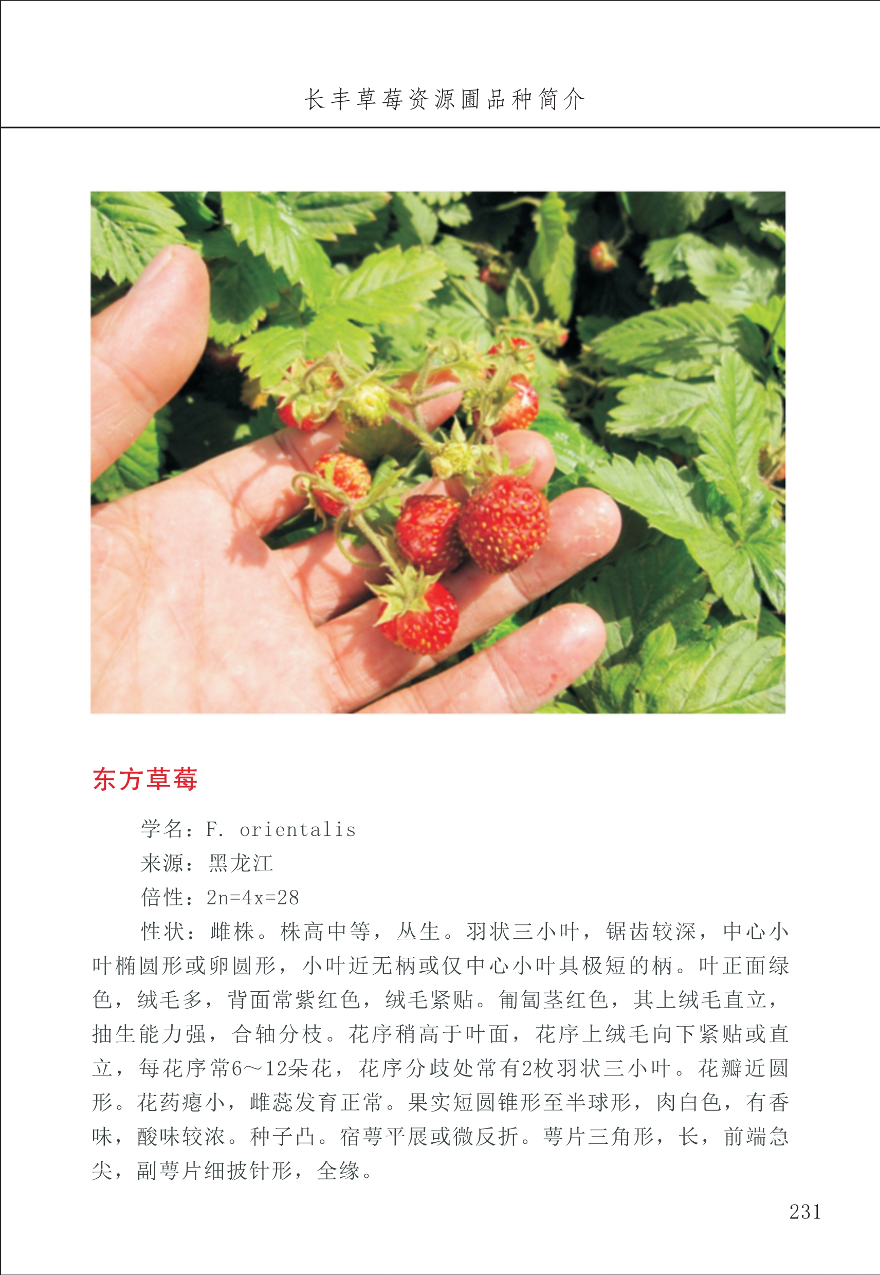 長(cháng)丰农技中心3_31.jpg